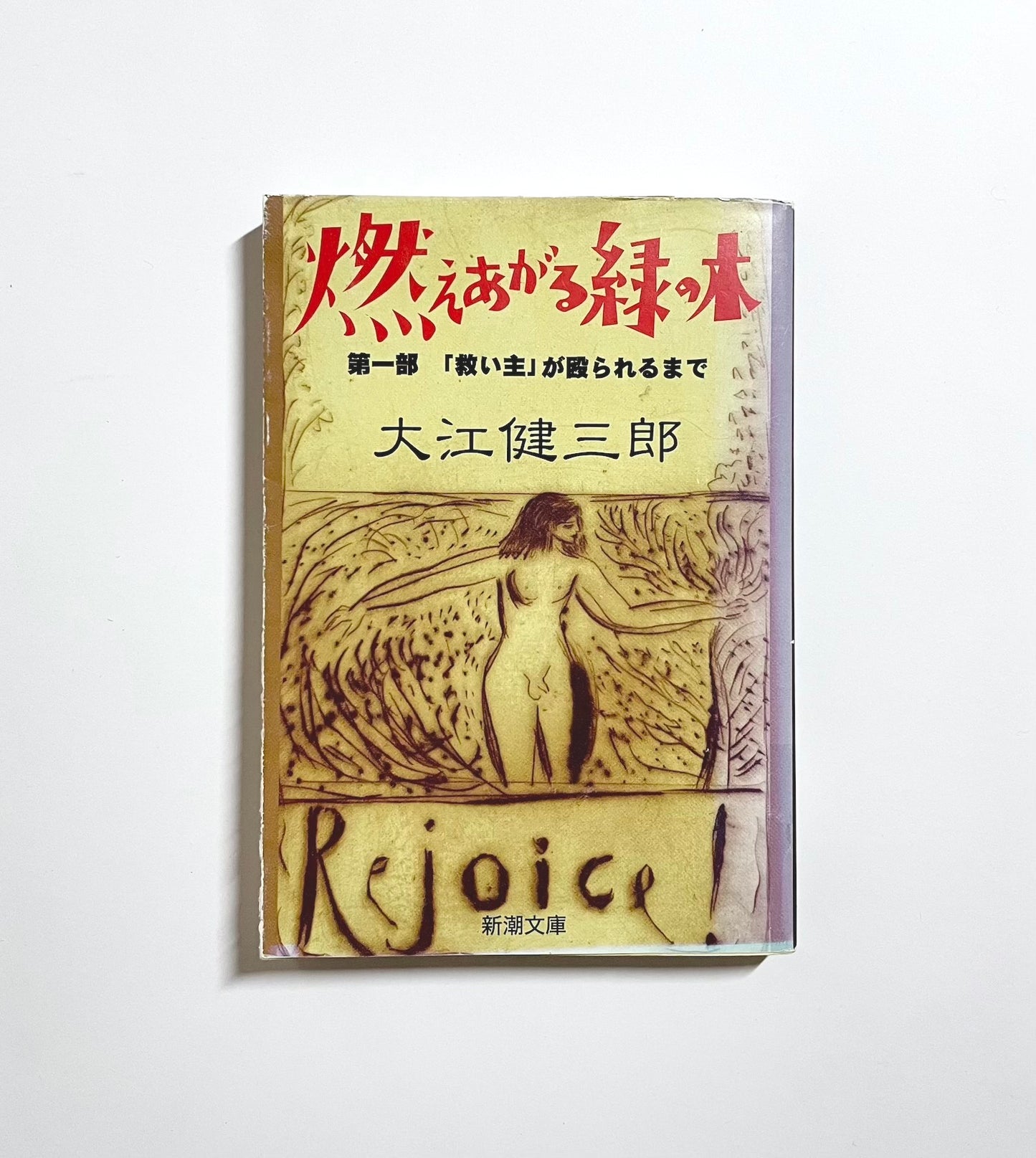 燃えあがる緑の木〈第1部〉「救い主」が殴られるまで
