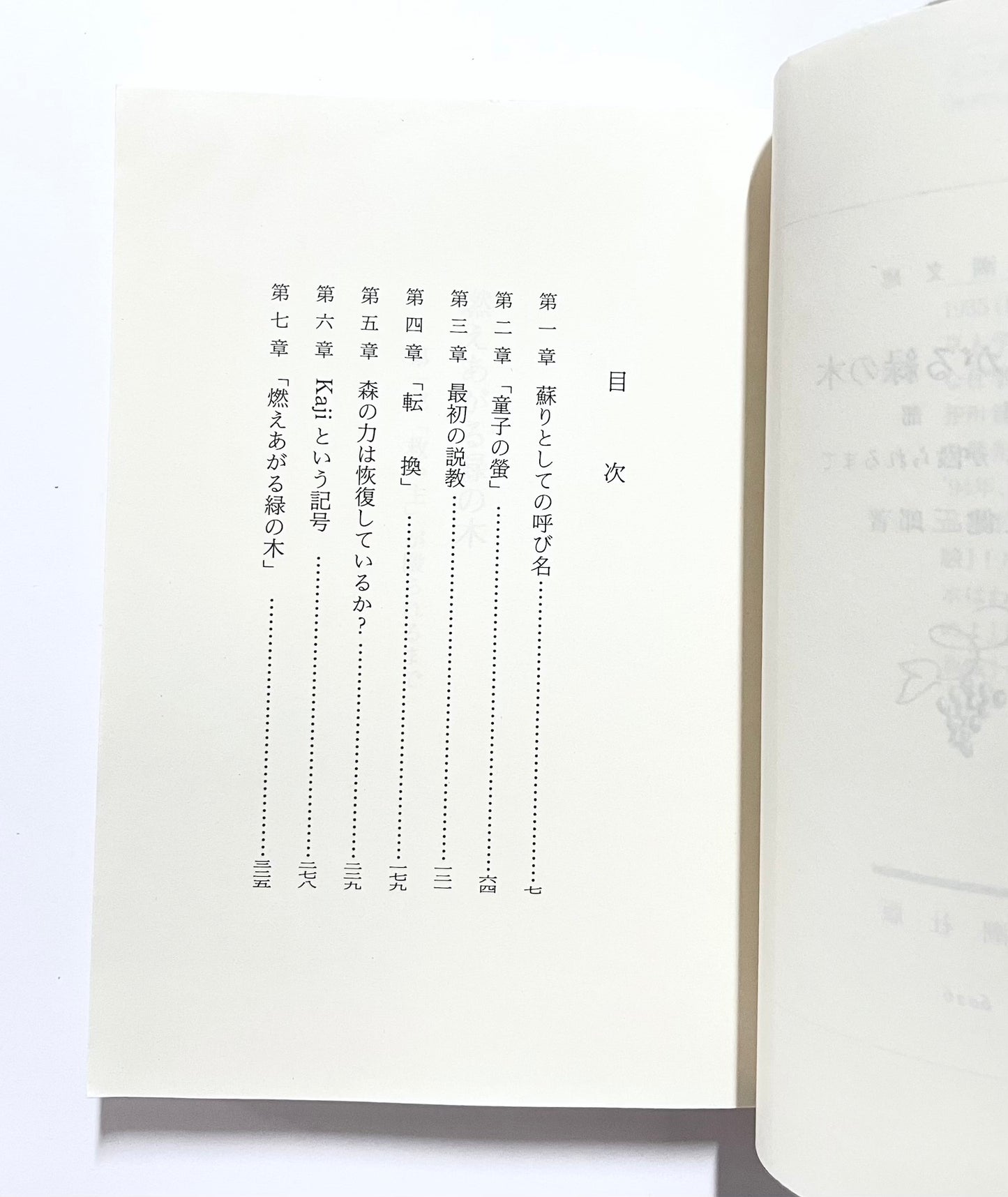 燃えあがる緑の木〈第1部〉「救い主」が殴られるまで