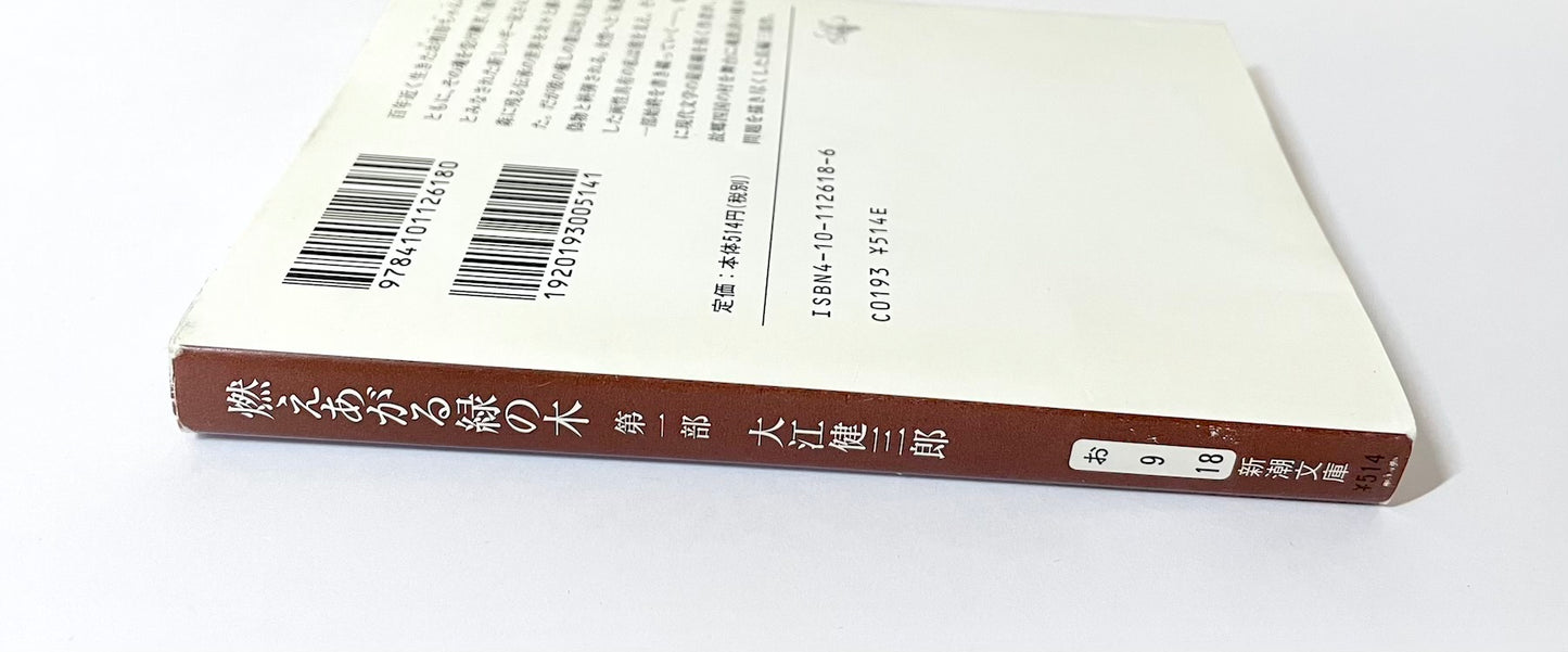 燃えあがる緑の木〈第1部〉「救い主」が殴られるまで