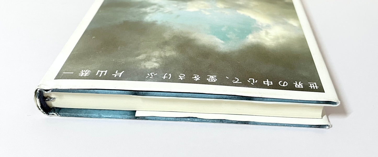 世界の中心で、愛をさけぶ