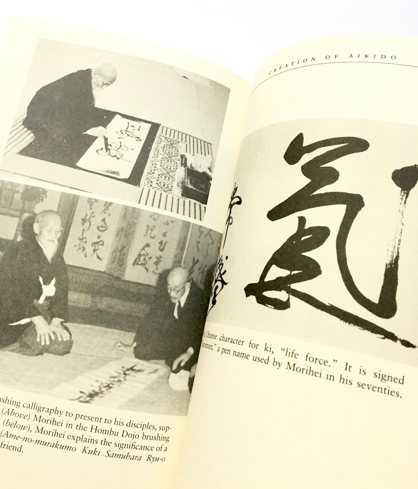 Invincible Warrior: A Pictorial Biography of Morihei Ueshiba, Founder of Aikido