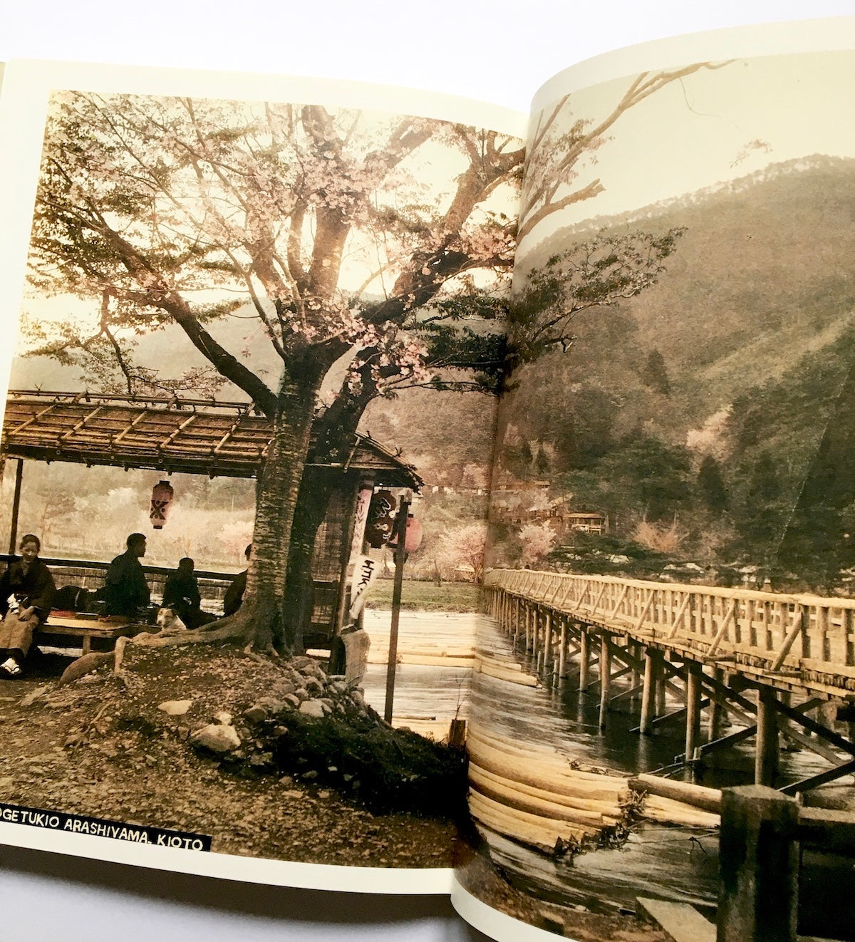 写真集成 京都百年パノラマ館