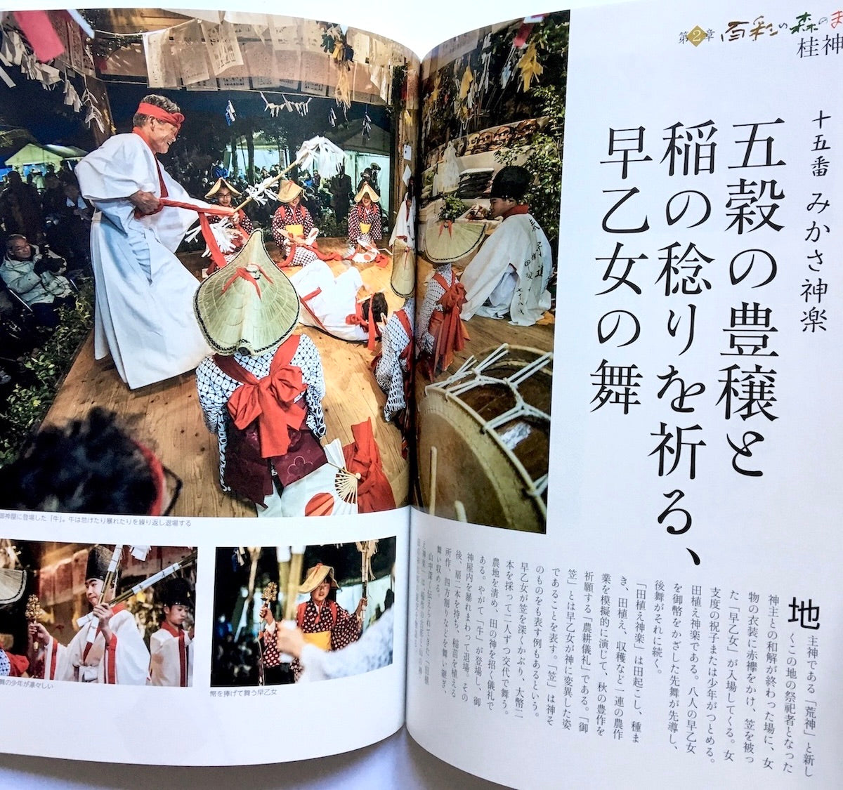 百彩の森から: 諸塚の神楽と人々のくらし