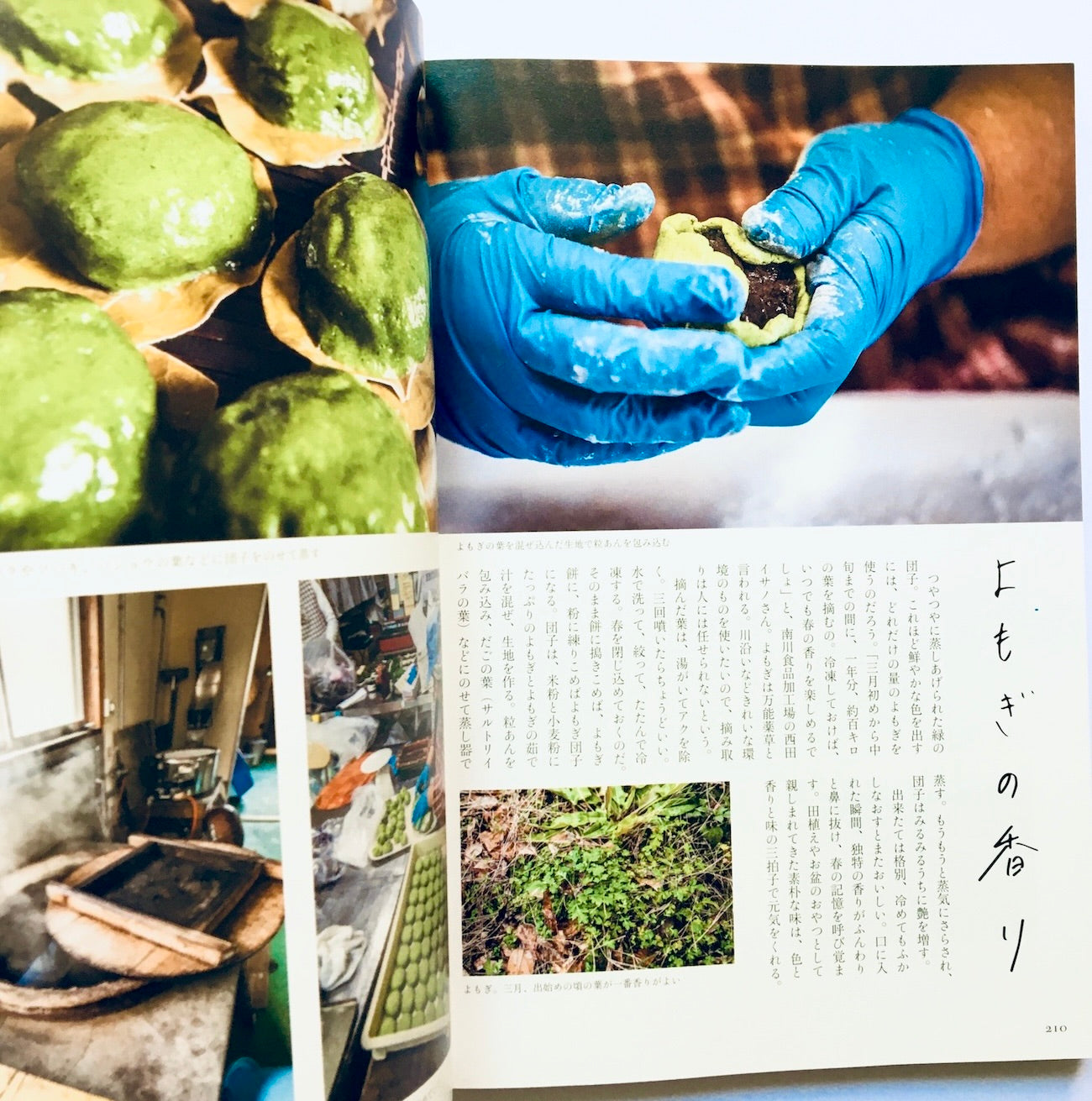 百彩の森から: 諸塚の神楽と人々のくらし