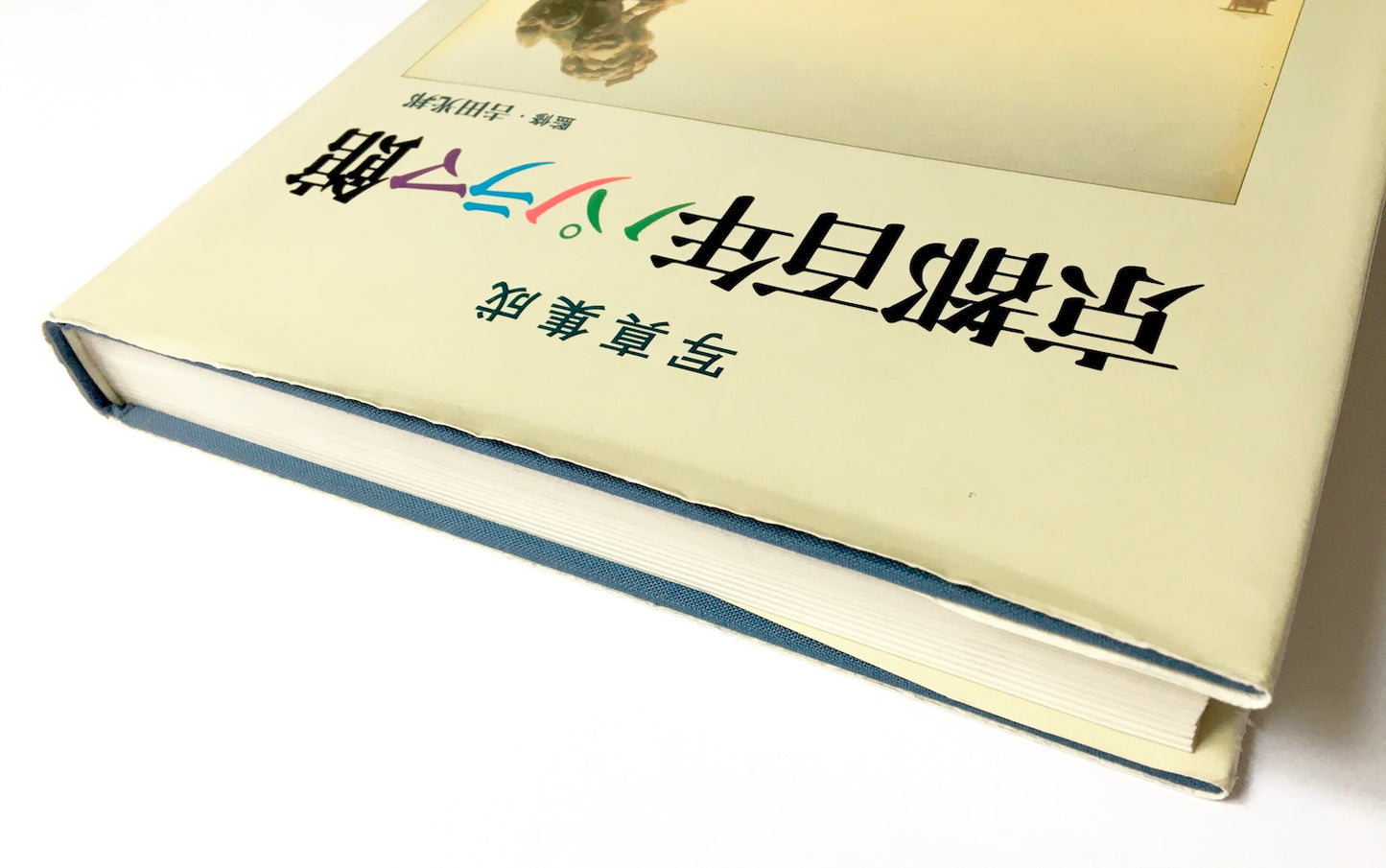 写真集成 京都百年パノラマ館