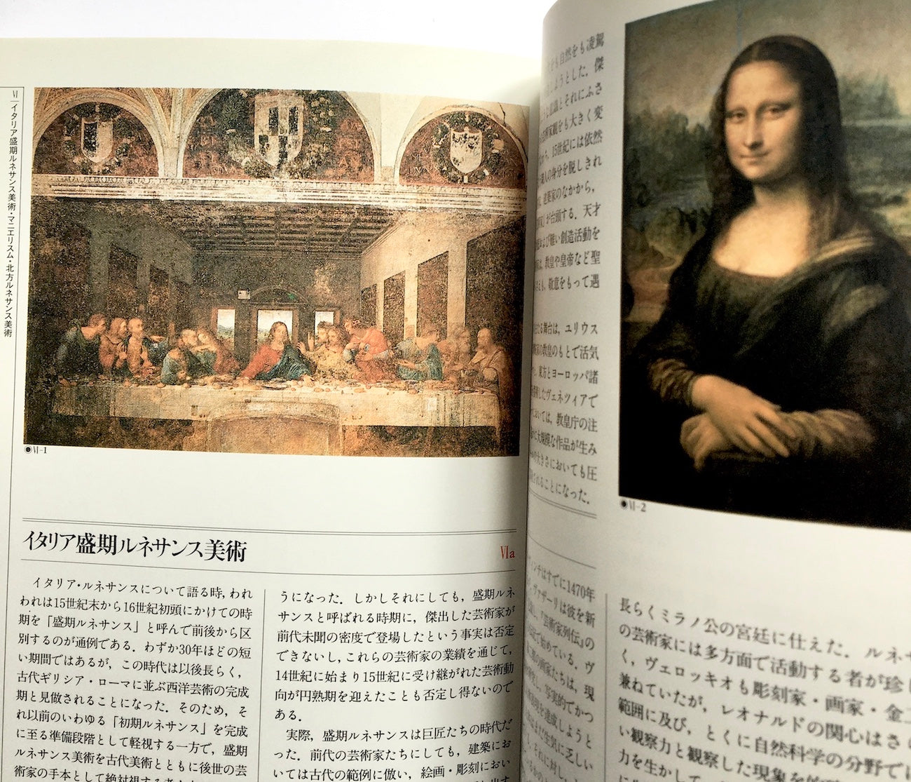 西洋美術史 カラー版