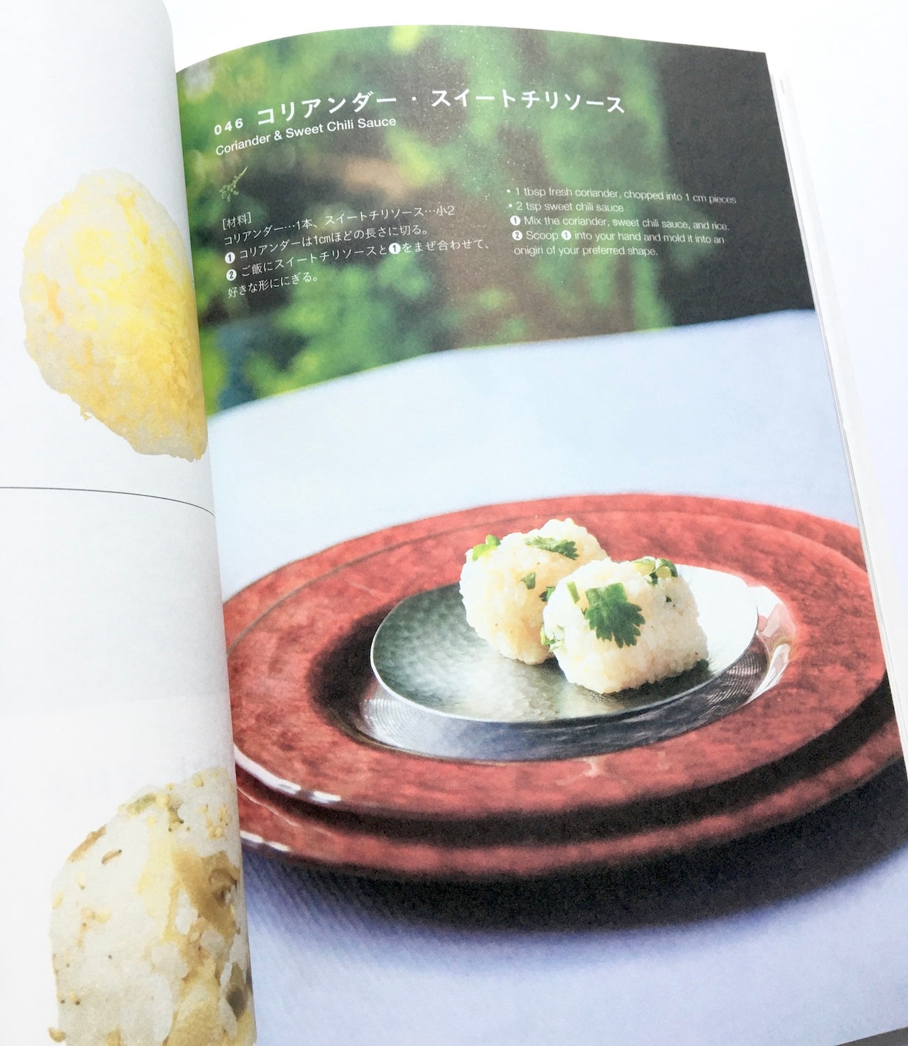 おにぎりレシピ101: EVERYDAY ONIGIRI 101 Healthy, Easy Japanese Riceball Recipes