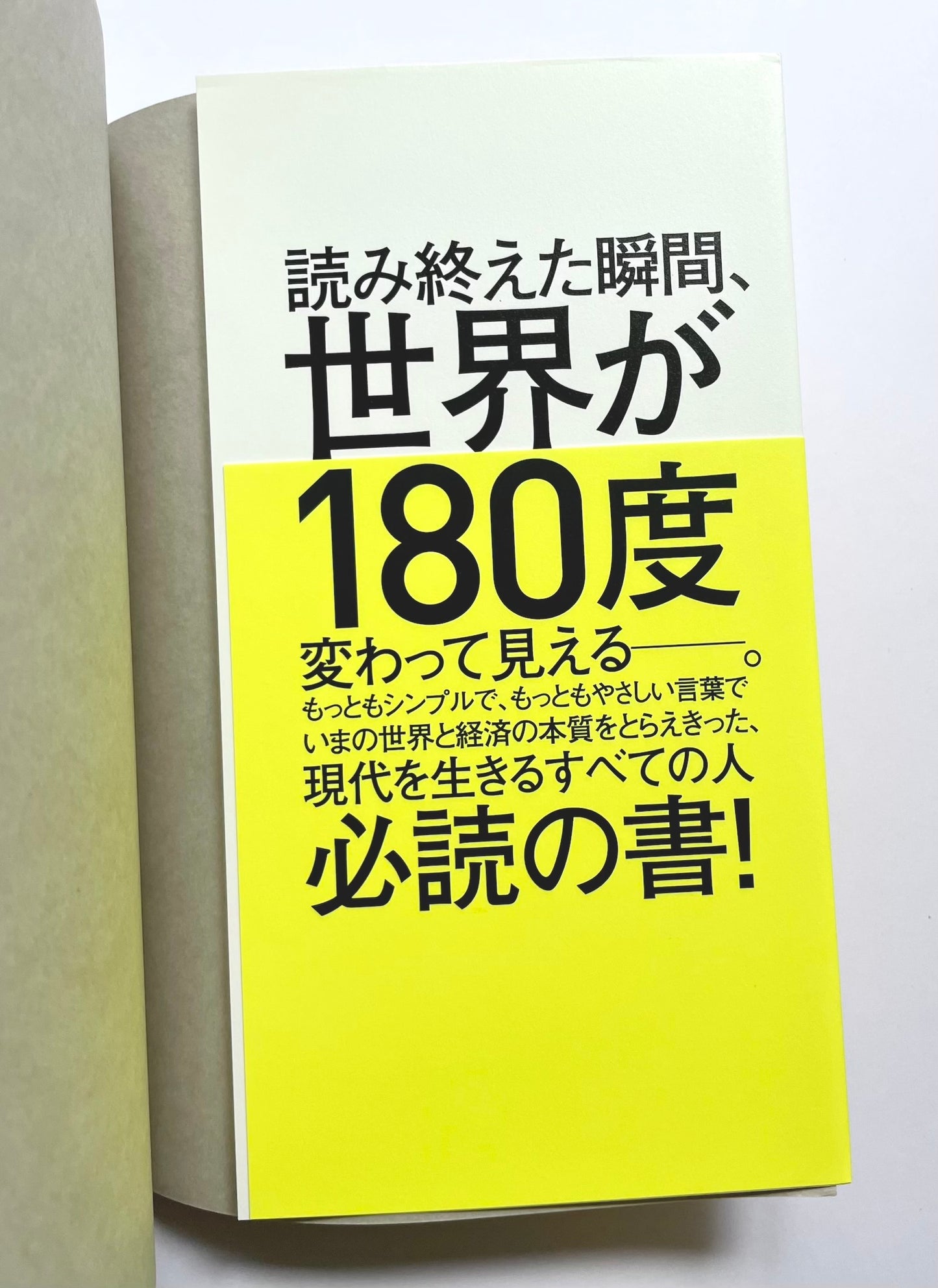 父が娘に語る 美しく、深く、壮大で、とんでもなくわかりやすい経済の話。