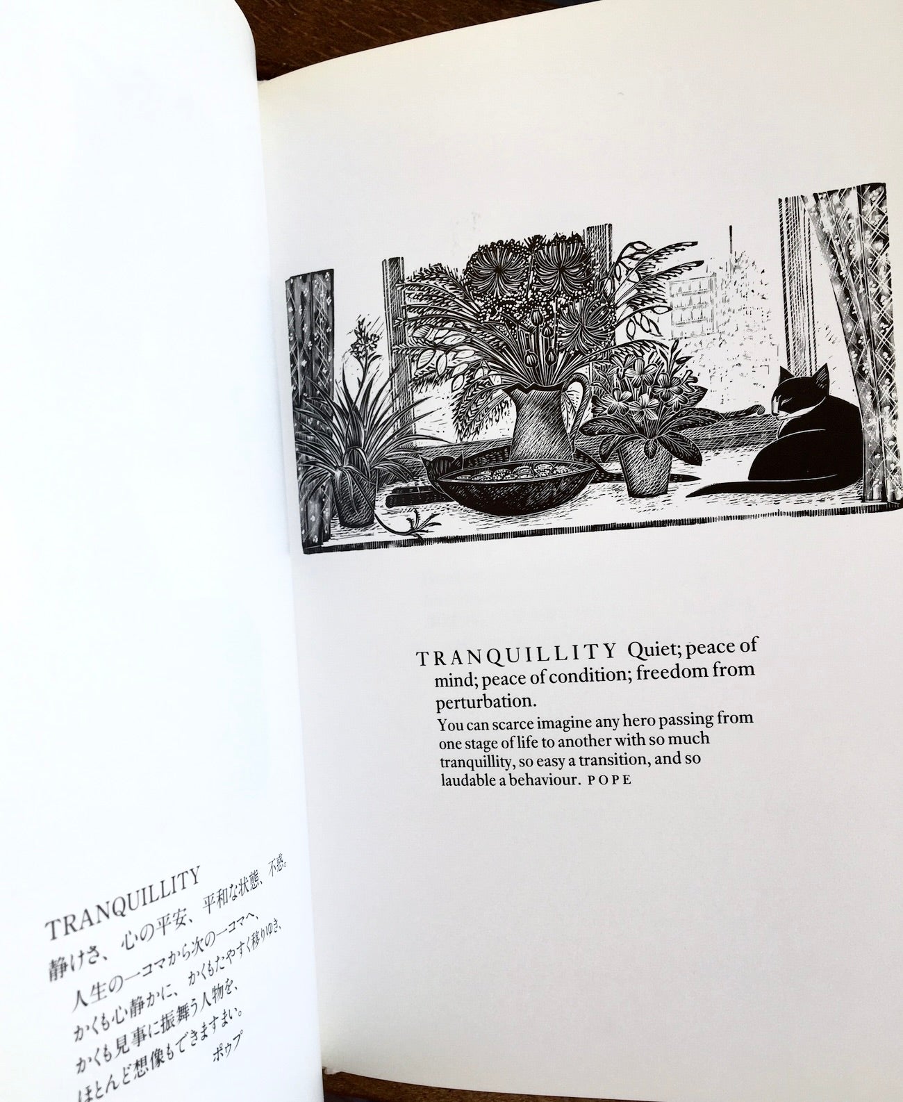 リリーとホッジとジョンソン博士と/ Lily & Hodge & Dr Johnson