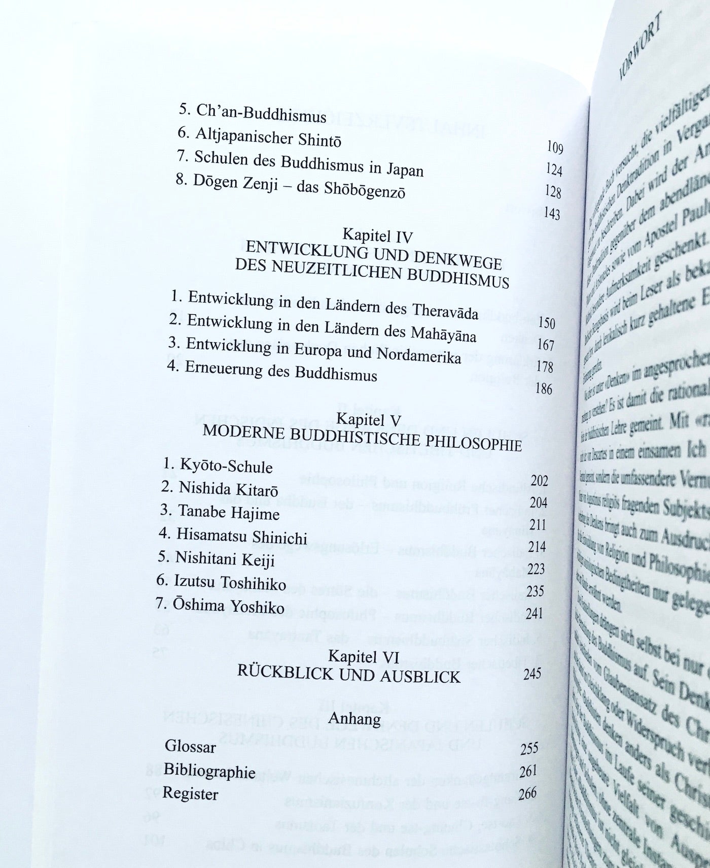 Buddhisten denken anders: Schulen und Denkwege des traditionellen und neuzeitlichen Buddhismus
