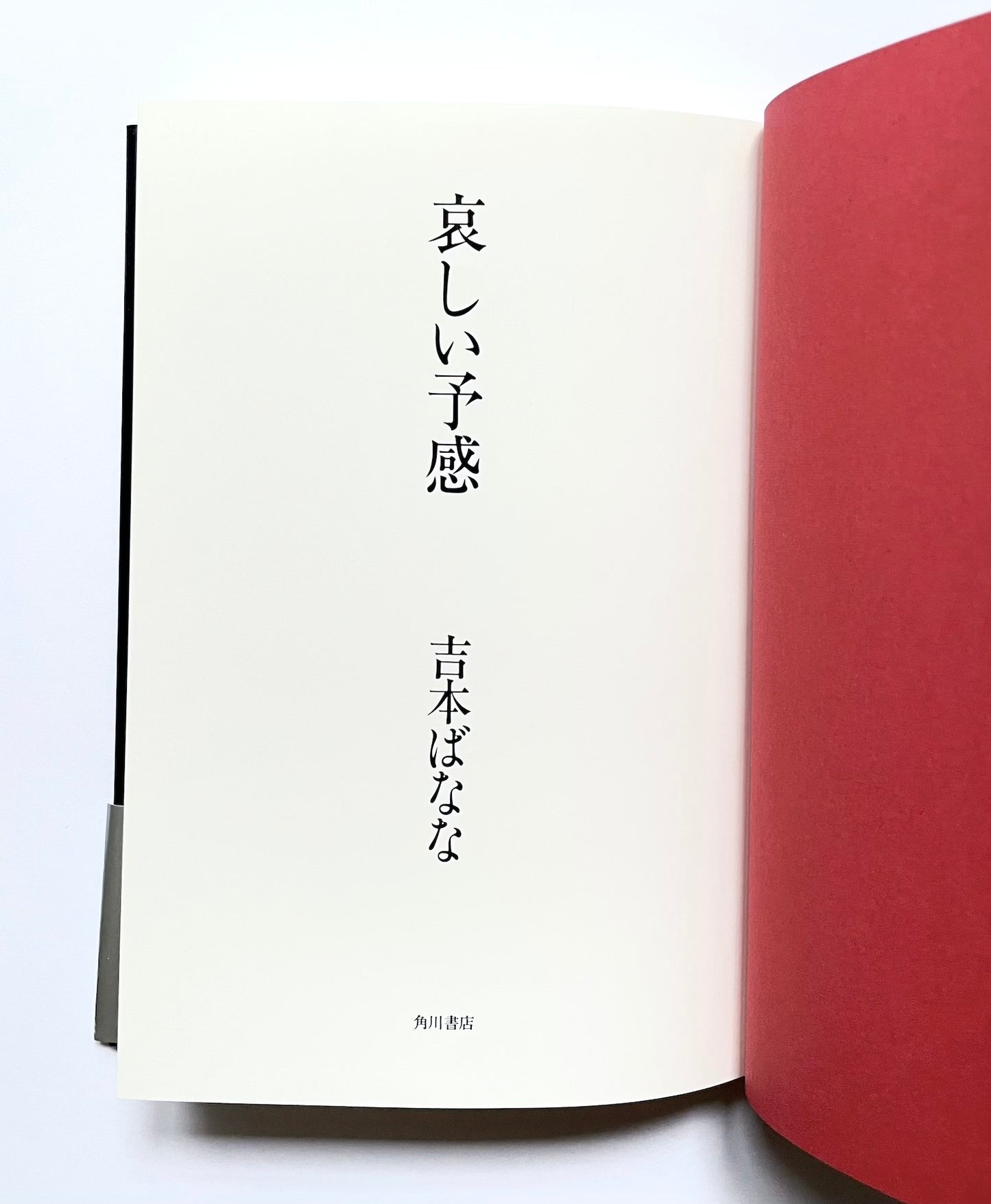 哀しい予感 / The Premonition