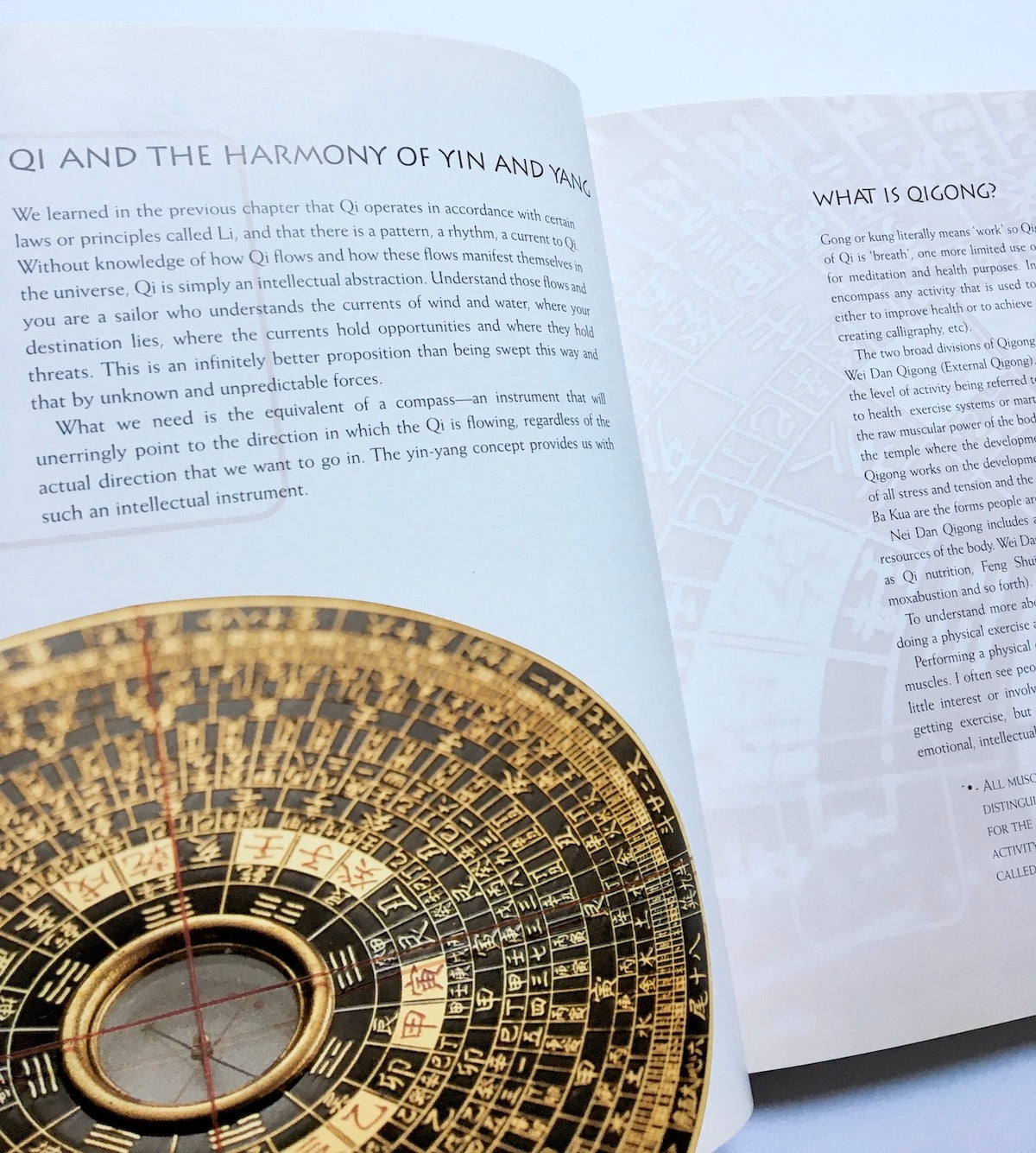 Reflections On Qi: Turning Your Life To The World's Hidden Energy