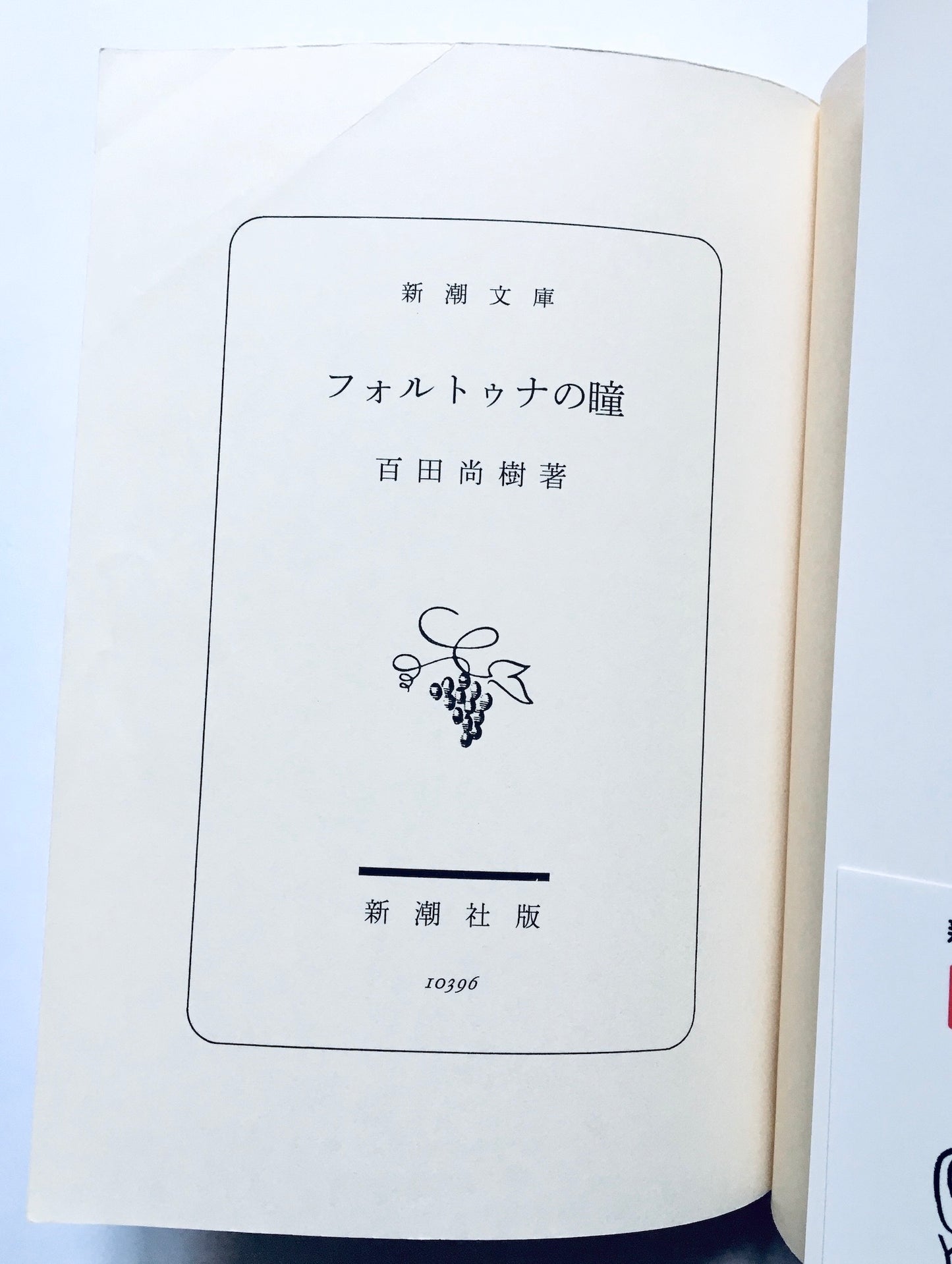 フォルトゥナの瞳