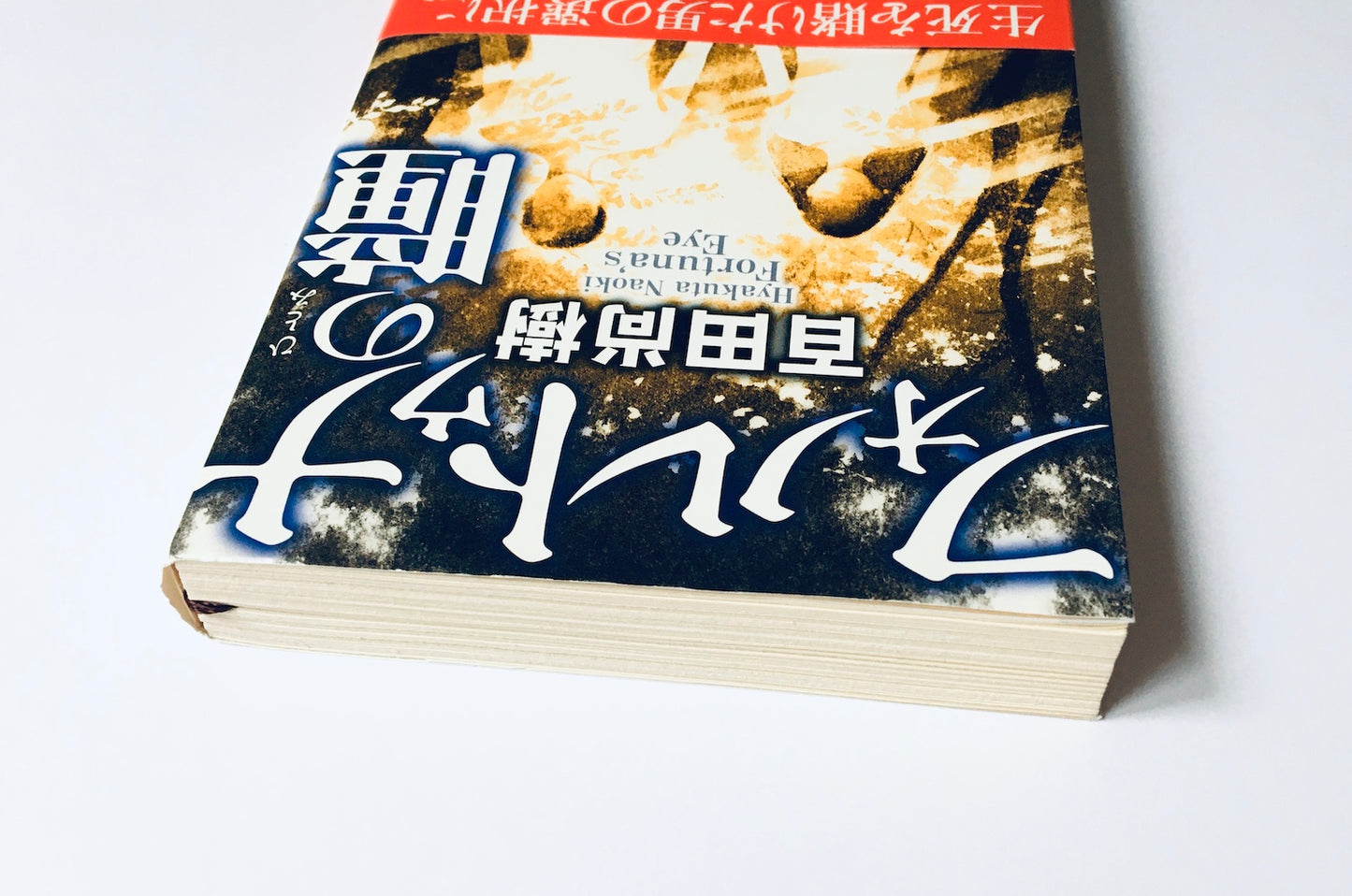 フォルトゥナの瞳