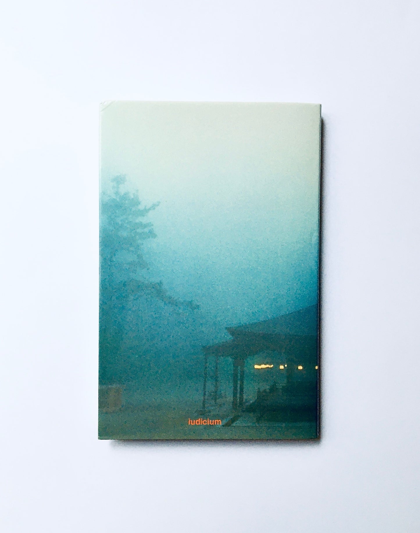 Ausgewählte Schriften: Sokushin-jobutsu-gi, Shoji-jisso-gi, Unji-gi, Hannya-shingyo-hiken