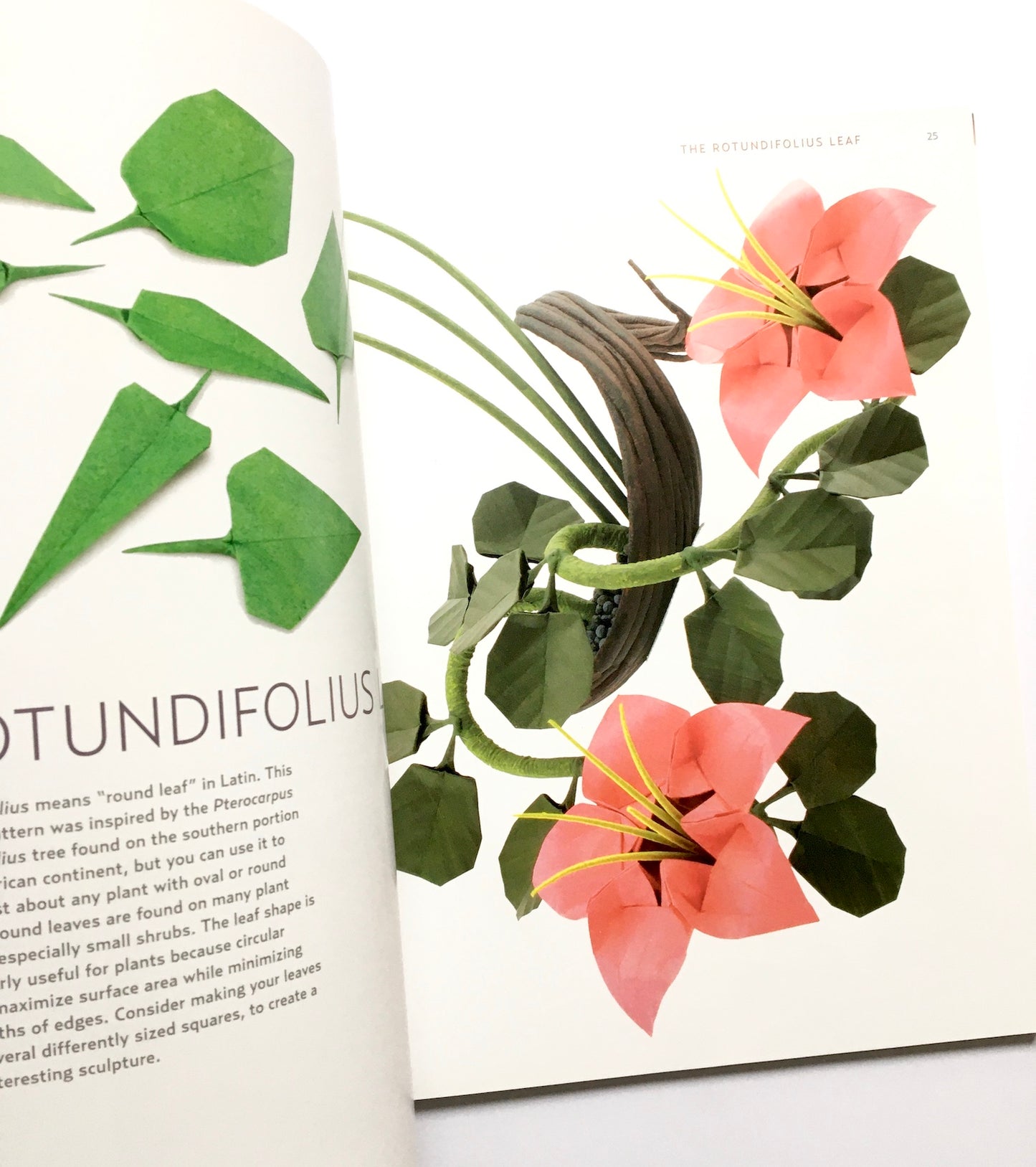 Origami Ikebana: Create Lifelike Paper Flower Arrangements: Create Lifelike Paper Flower Arrangements: Includes Origami Book with 38 Projects and Instructional DVD