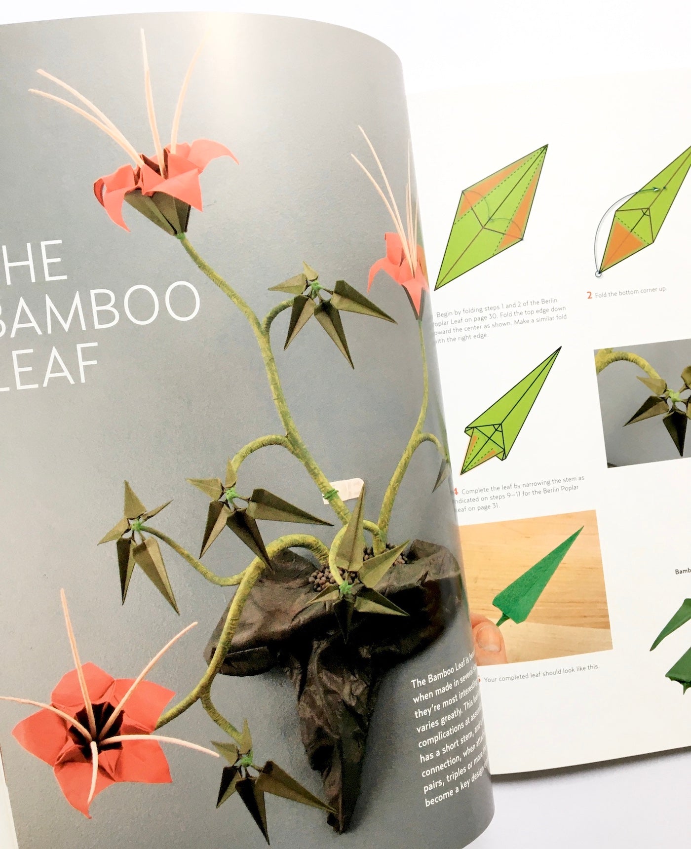 Origami Ikebana: Create Lifelike Paper Flower Arrangements: Create Lifelike Paper Flower Arrangements: Includes Origami Book with 38 Projects and Instructional DVD