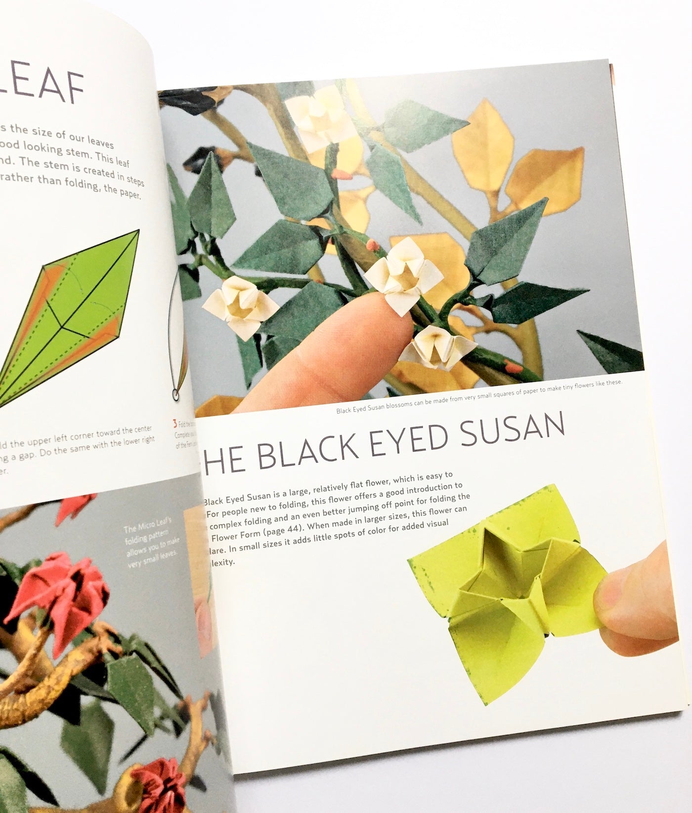 Origami Ikebana: Create Lifelike Paper Flower Arrangements: Create Lifelike Paper Flower Arrangements: Includes Origami Book with 38 Projects and Instructional DVD
