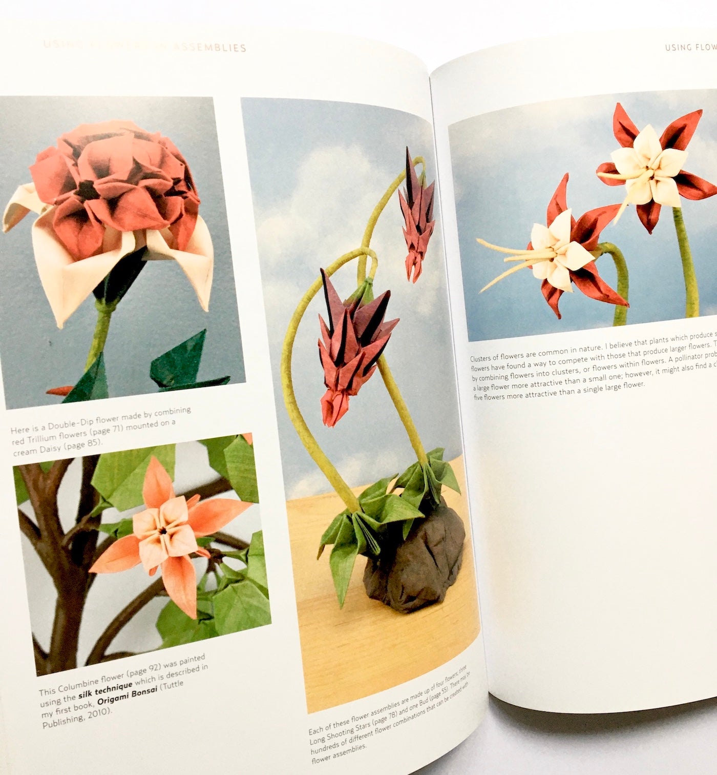 Origami Ikebana: Create Lifelike Paper Flower Arrangements: Create Lifelike Paper Flower Arrangements: Includes Origami Book with 38 Projects and Instructional DVD