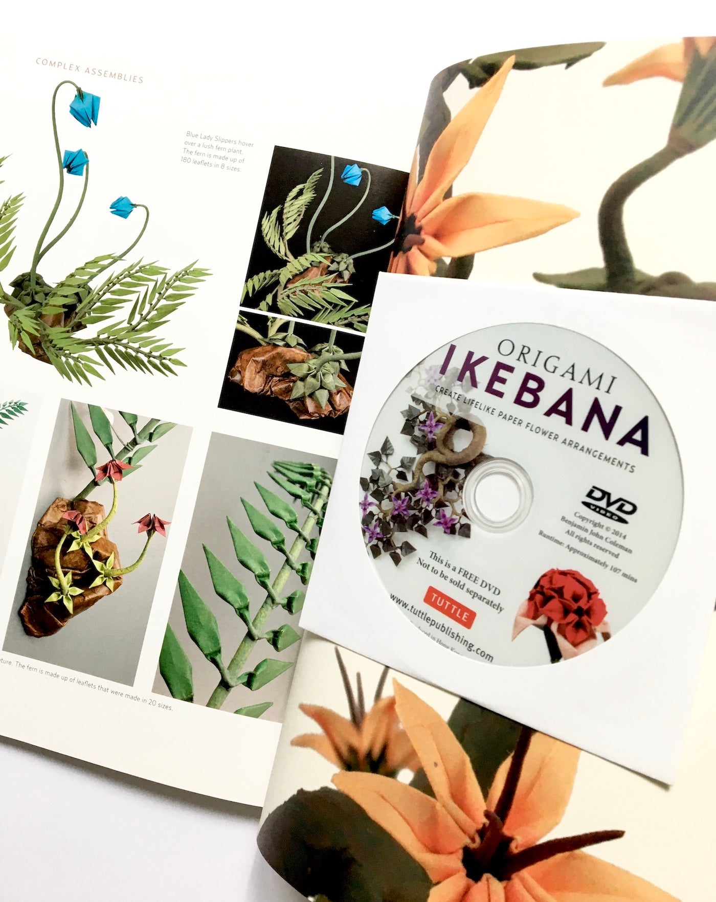 Origami Ikebana: Create Lifelike Paper Flower Arrangements: Create Lifelike Paper Flower Arrangements: Includes Origami Book with 38 Projects and Instructional DVD