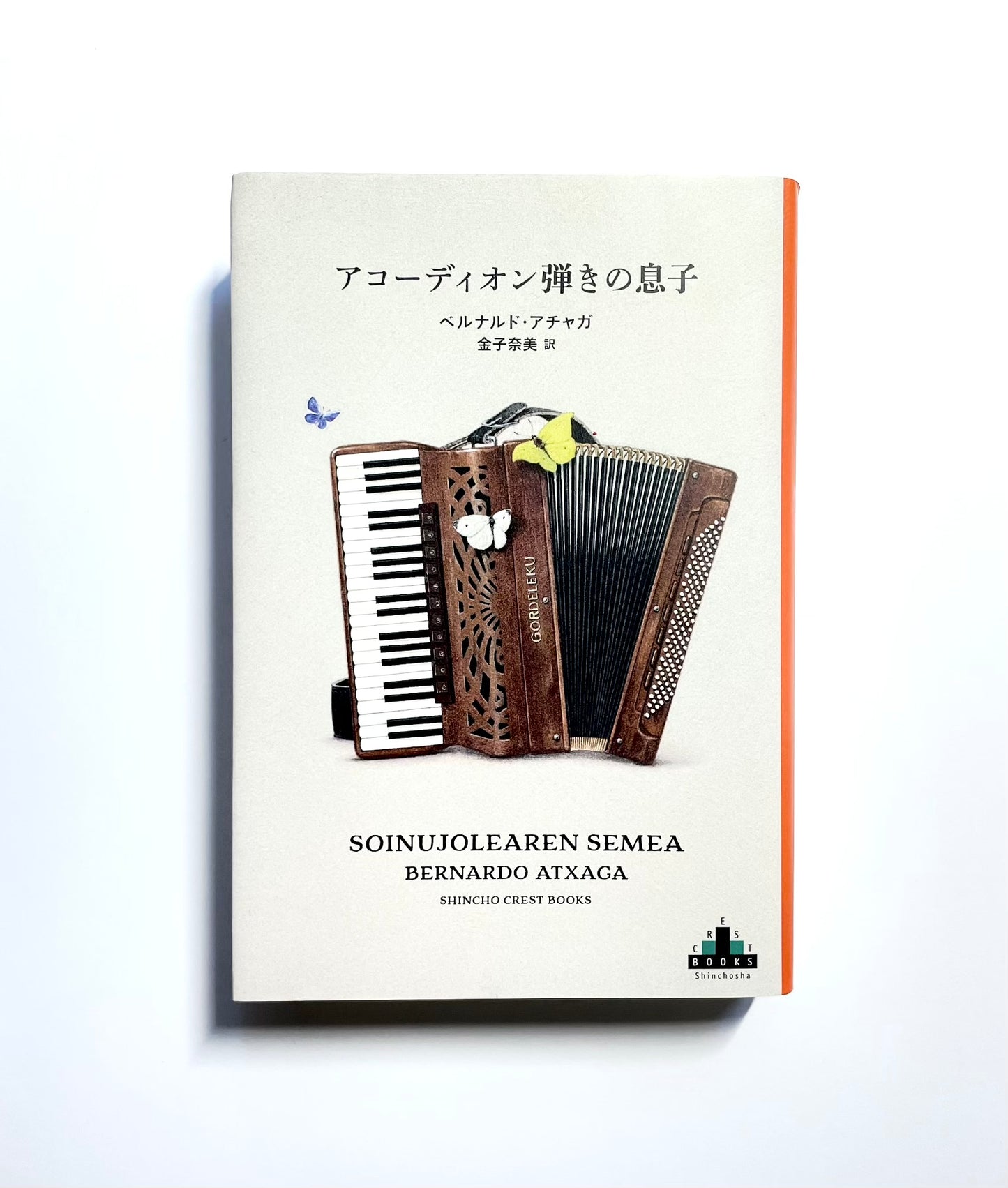 アコーディオン弾きの息子