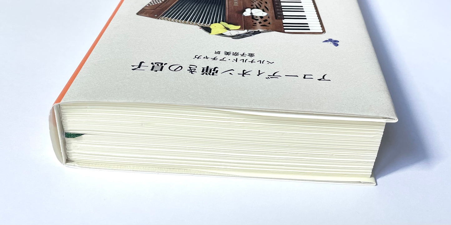 アコーディオン弾きの息子