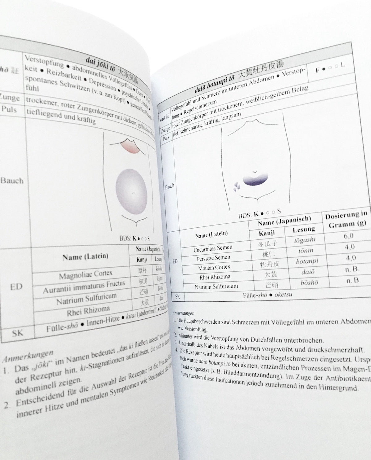 Kampō: Einführung in die japanische Pflanzenheilkunde in 25 Fragen und Antworten