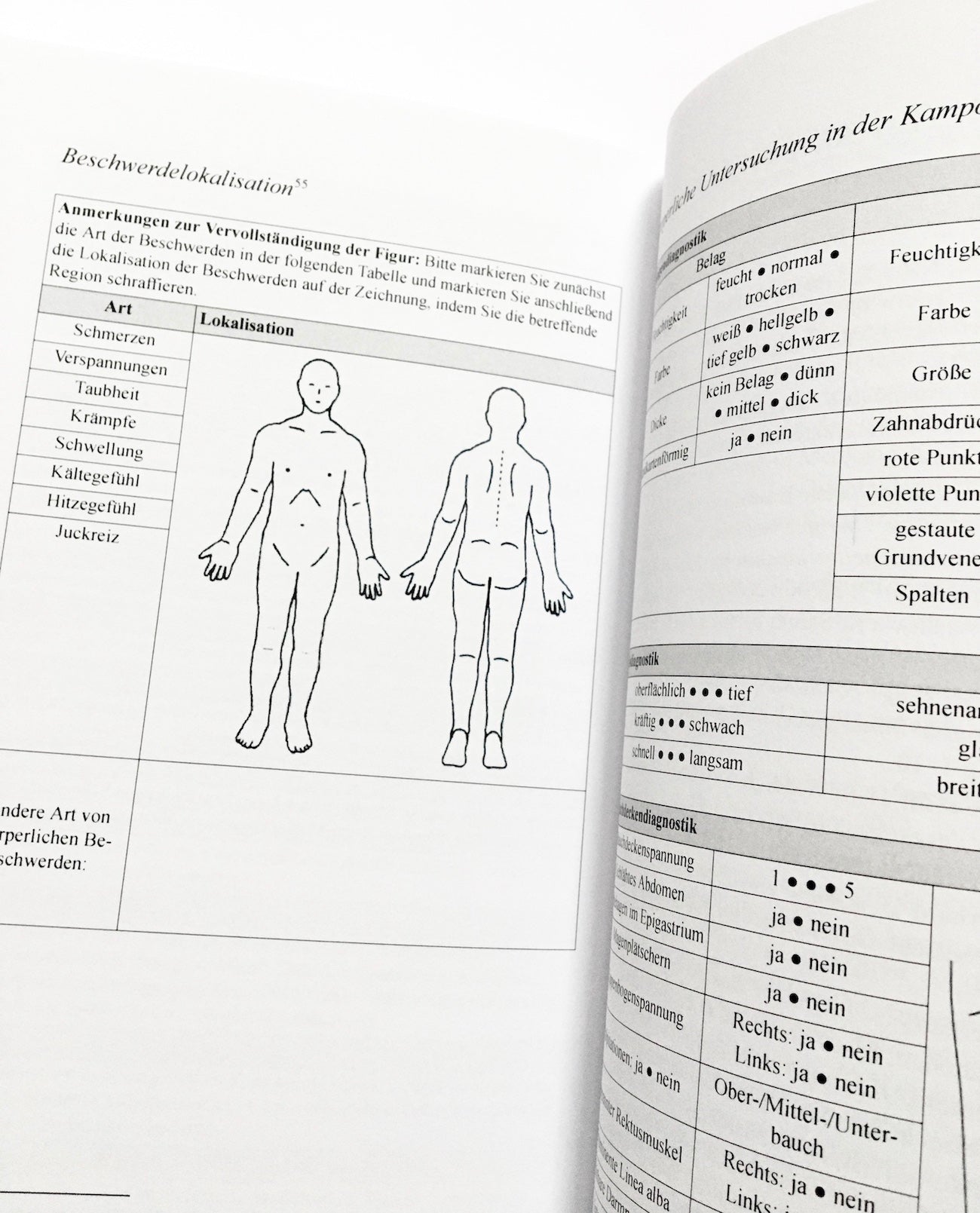 Kampō: Einführung in die japanische Pflanzenheilkunde in 25 Fragen und Antworten