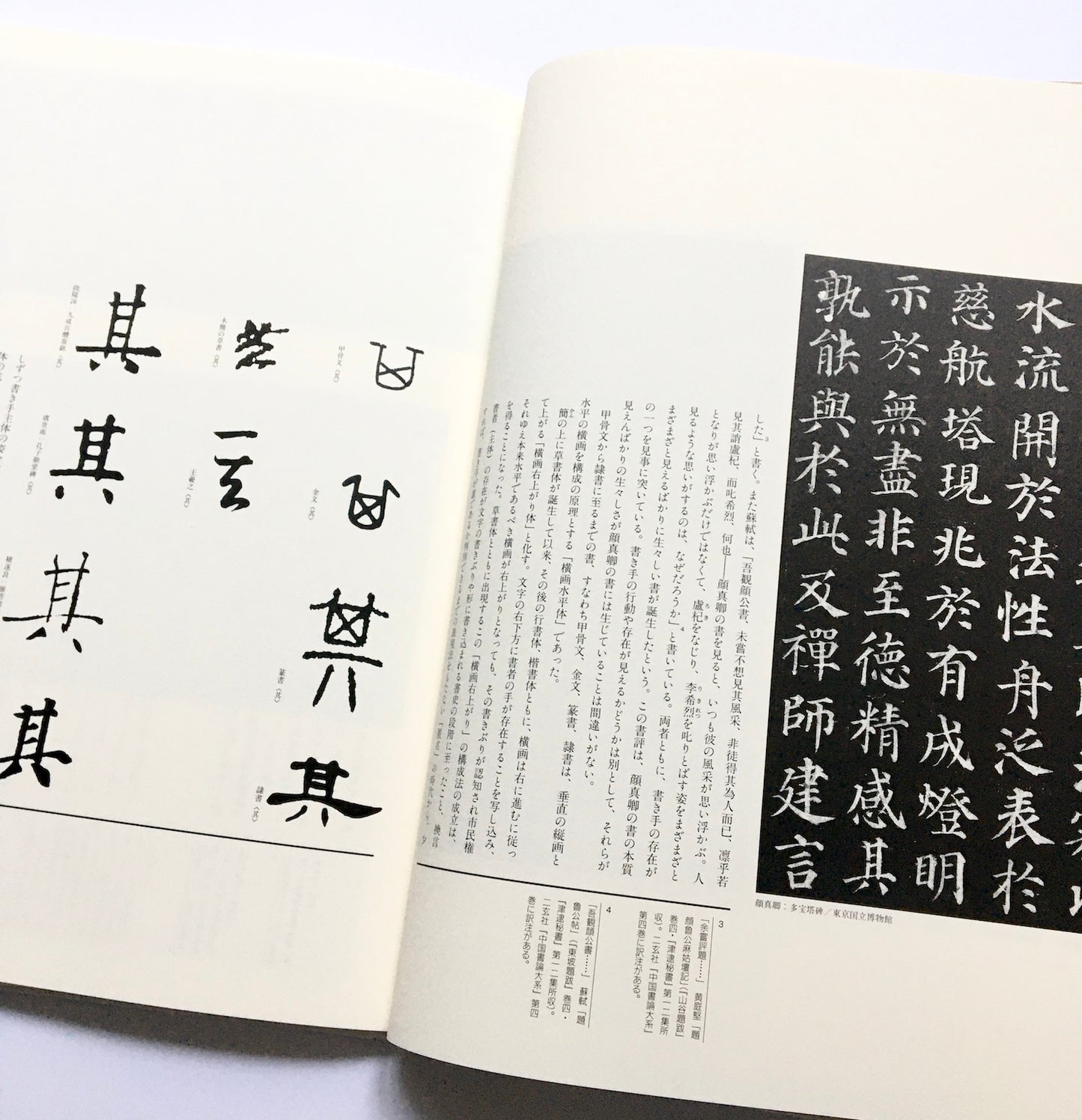 書の宇宙(13) 書と人と顔真卿