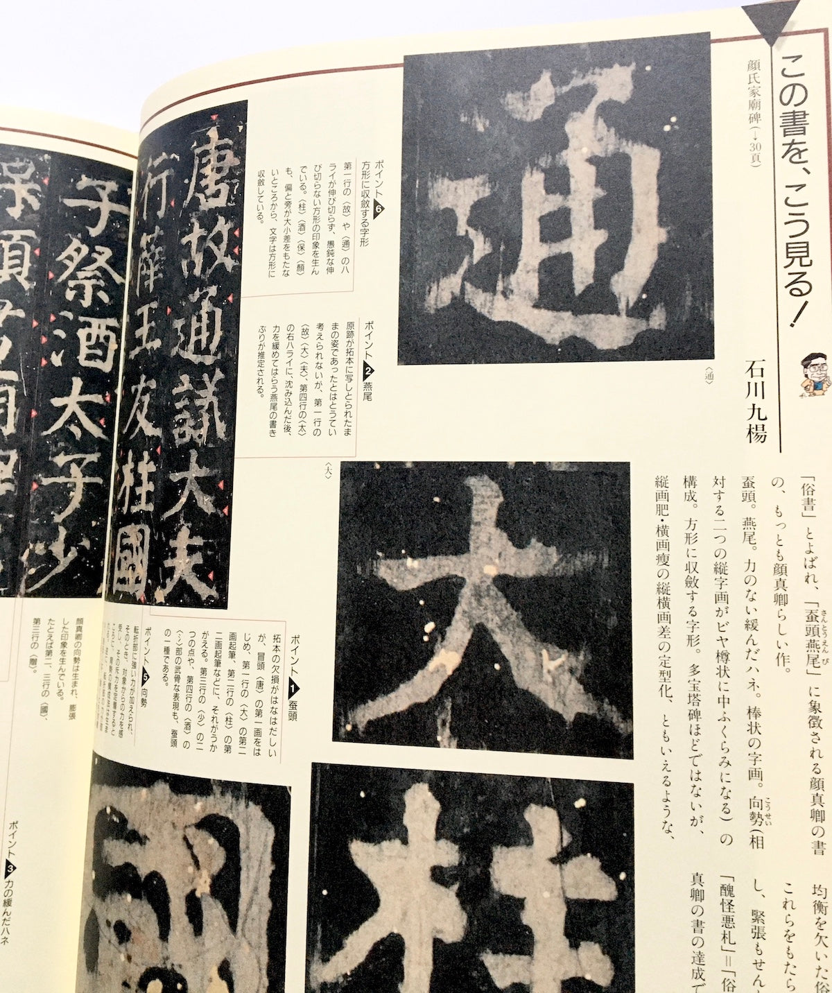 書の宇宙(13) 書と人と顔真卿