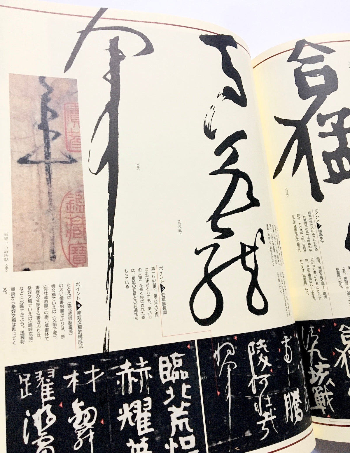 書の宇宙(13) 書と人と顔真卿