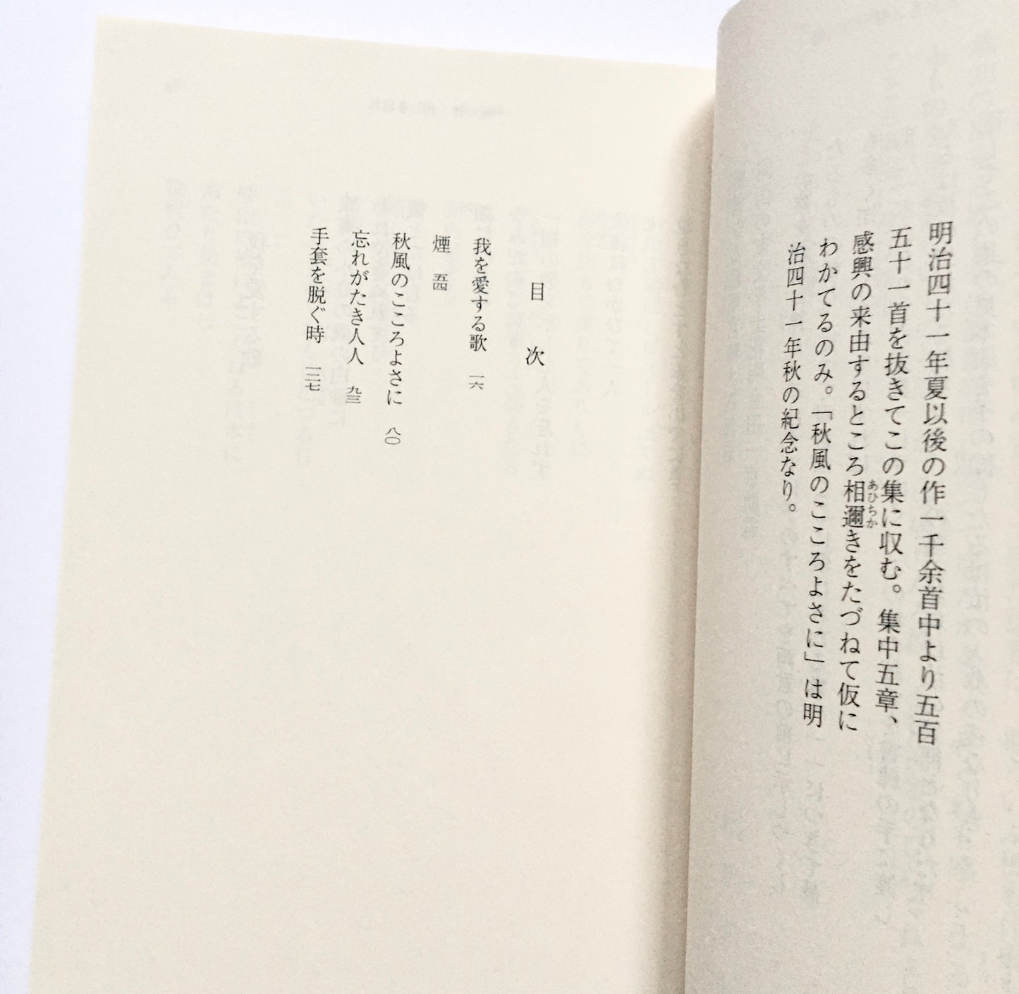 一握の砂・悲しき玩具 石川啄木歌集