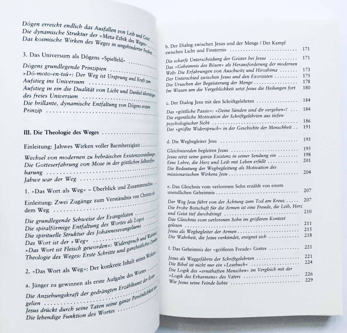 Erleuchtung auf dem Weg. Zur Theologie des Weges