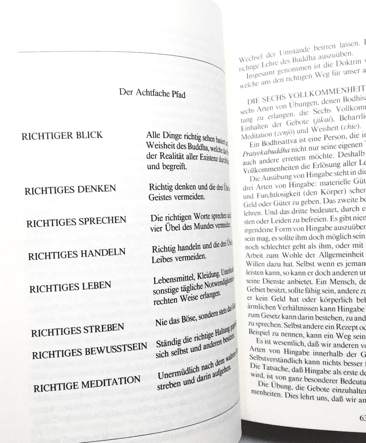 Buddhismus für heute. Eine moderne Darstellung des Dreifachen Lotus Sutra