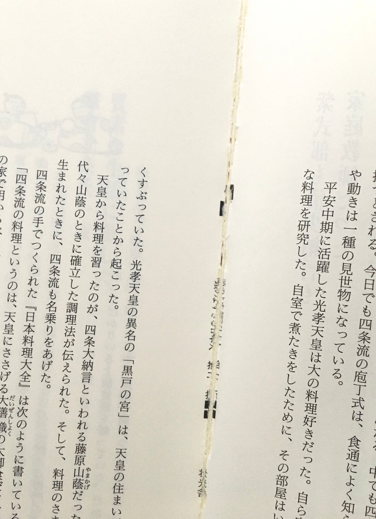 快楽脳叢書  頭のよすぎる日本人―ジャポニズム意外な事実