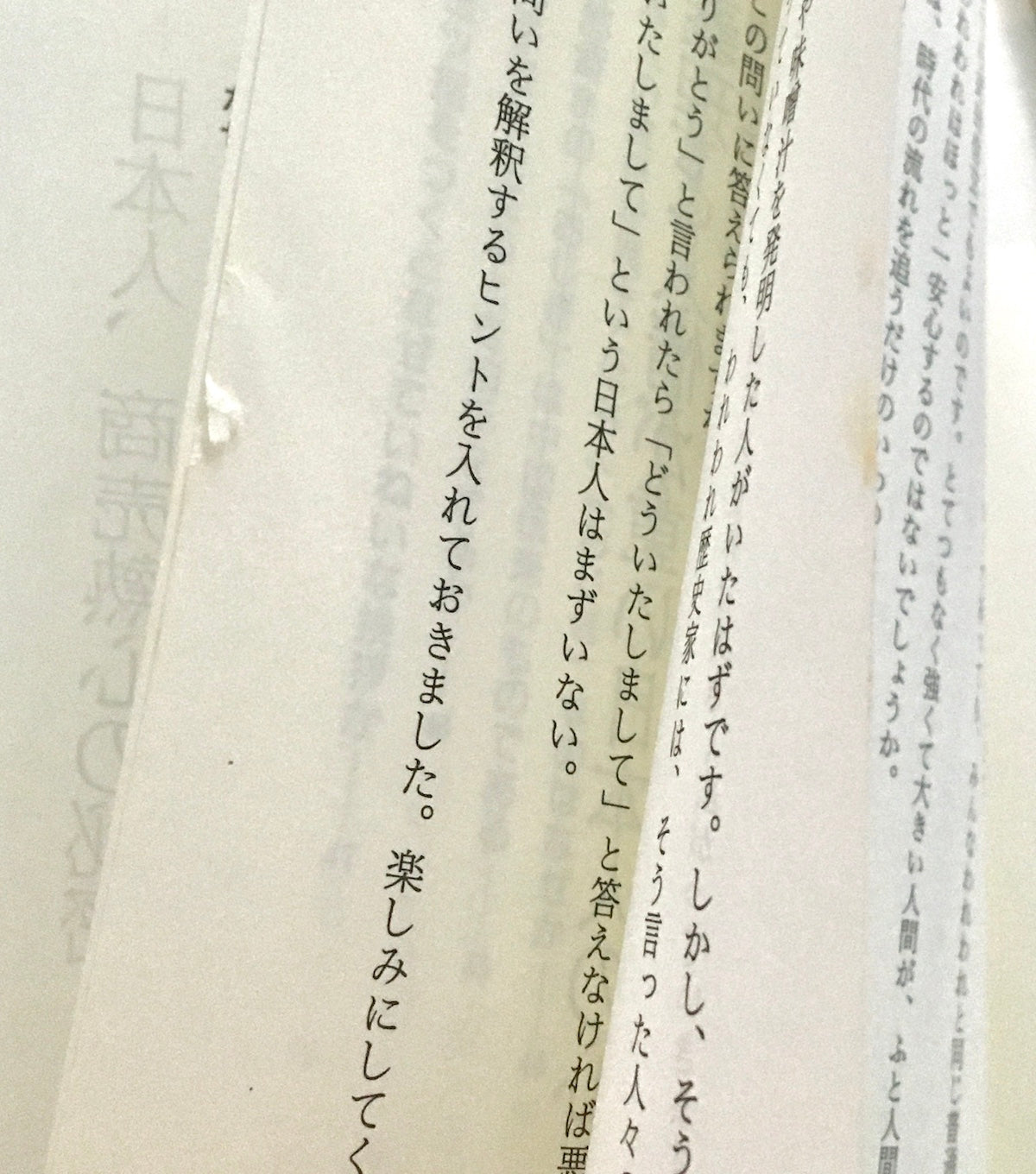 快楽脳叢書  頭のよすぎる日本人―ジャポニズム意外な事実