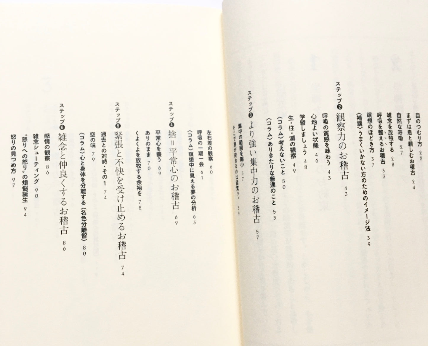 「自分」を浄化する坐禅入門 増補改訂版