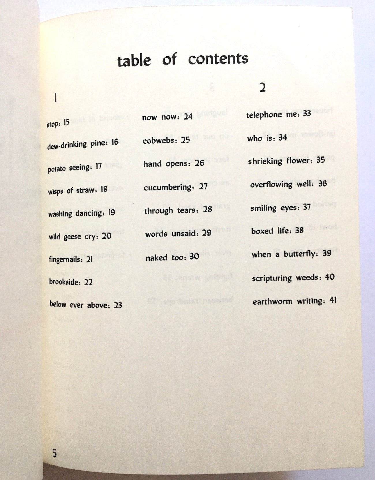 Zen Telegrams. 79 Picture Poems