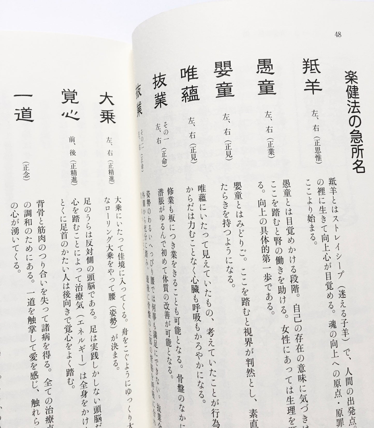 二人ヨーガ楽健法 こころもからだもすこやかに 楽健法経つき 定本版