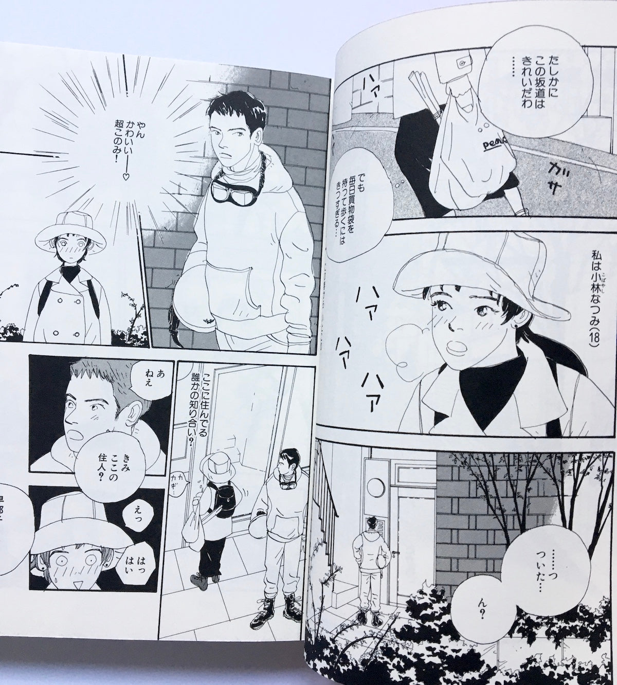 桜沢エリカ選集1「欲張な唇」