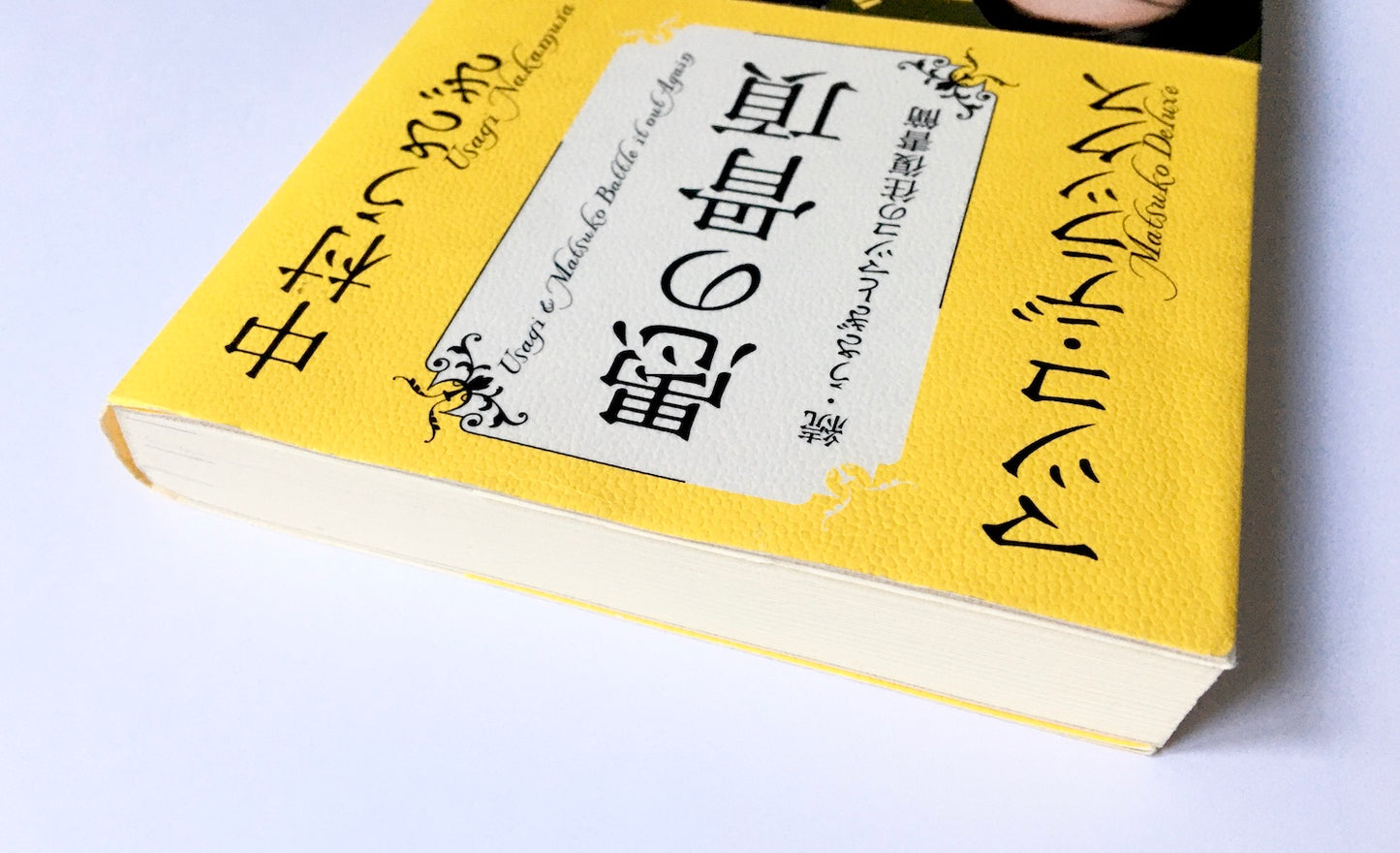 愚の骨頂 続・うさぎとマツコの往復書簡