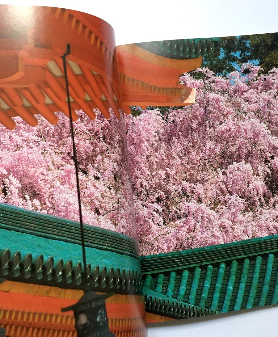 Cherry Blossoms of Kyoto: A Seasonal Portfolio