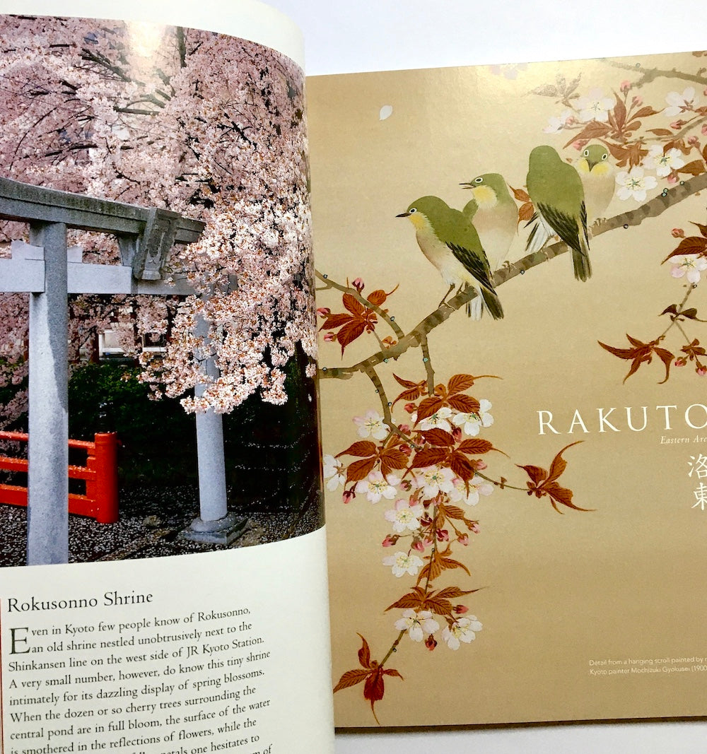 Cherry Blossoms of Kyoto: A Seasonal Portfolio
