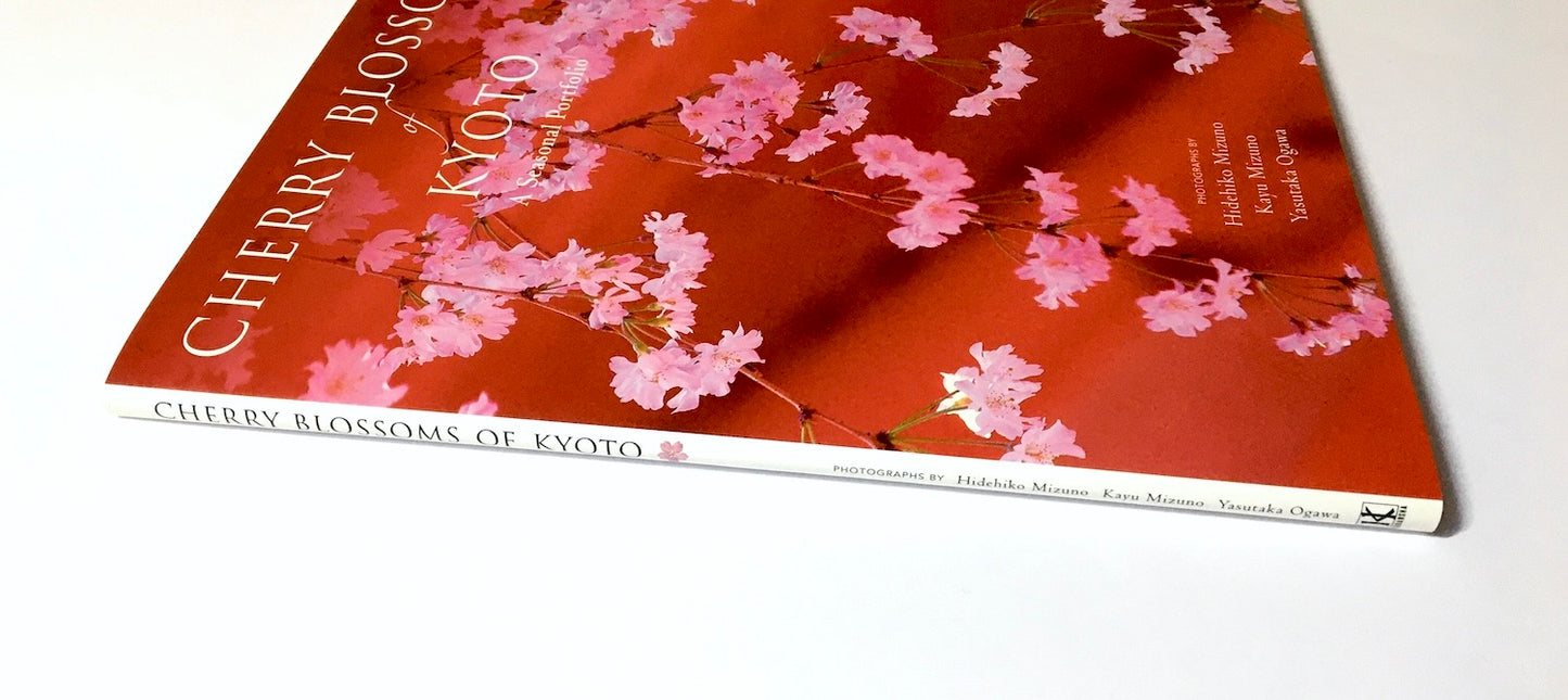 Cherry Blossoms of Kyoto: A Seasonal Portfolio
