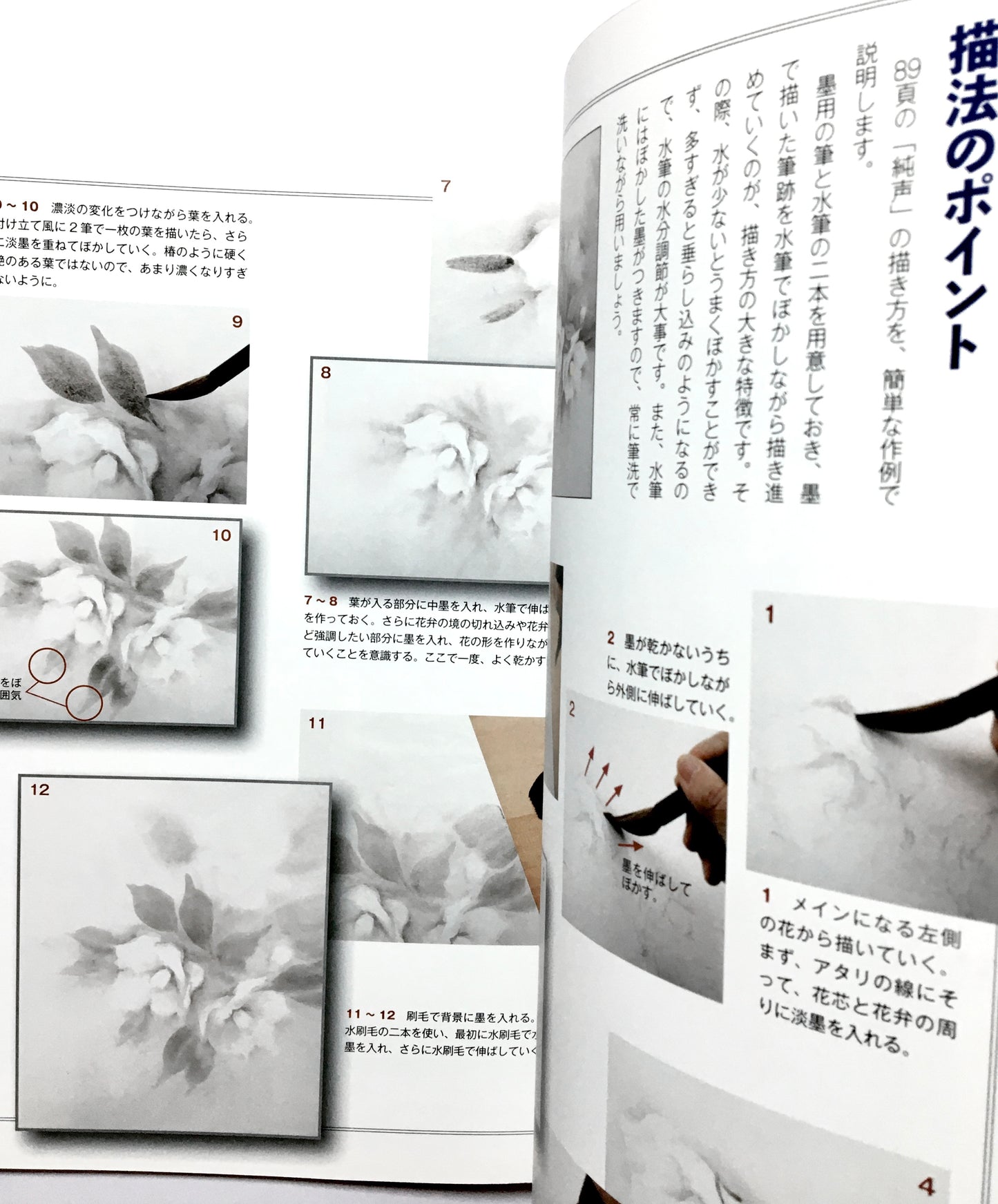墨技の発見 花を描く 春・夏篇: 水墨画競作シリーズ