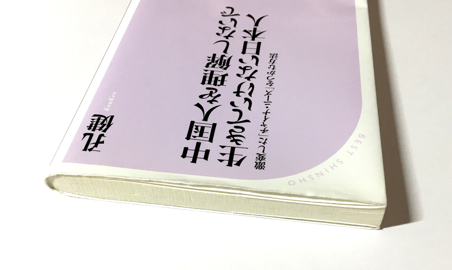 中国人を理解しないで生きていけない日本人―激変した「チャイナ・ニーズ」をつかむ方法