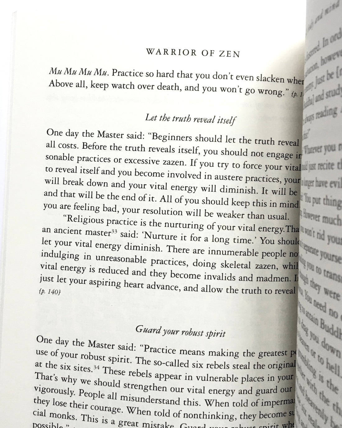 Warrior of Zen: The Diamond-Hard Wisdom Mind of Suzuki Shosan: Diamond-hard Wisdom Mind of Suzaki Shosan