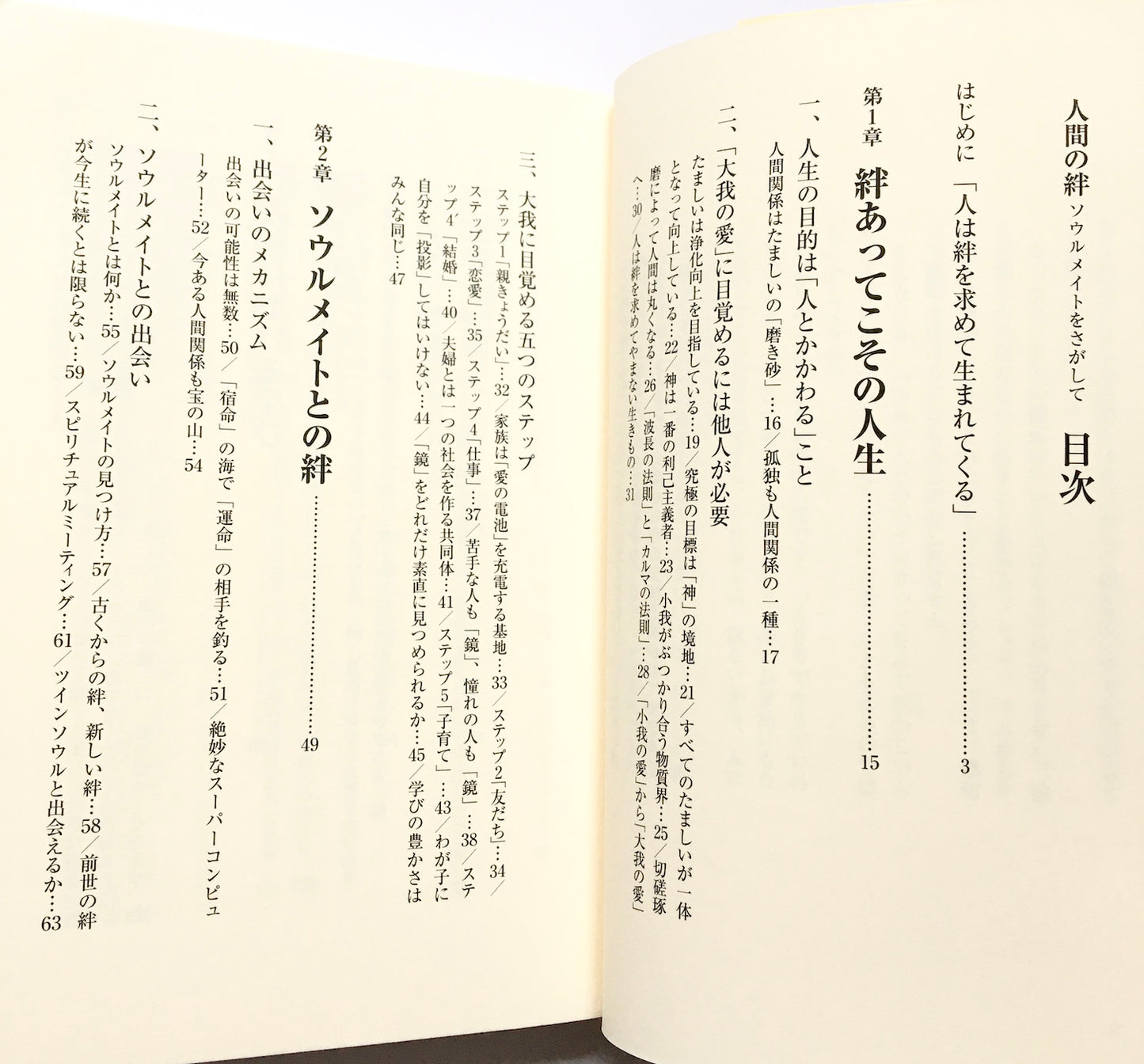 人間の絆 ソウルメイトをさがして