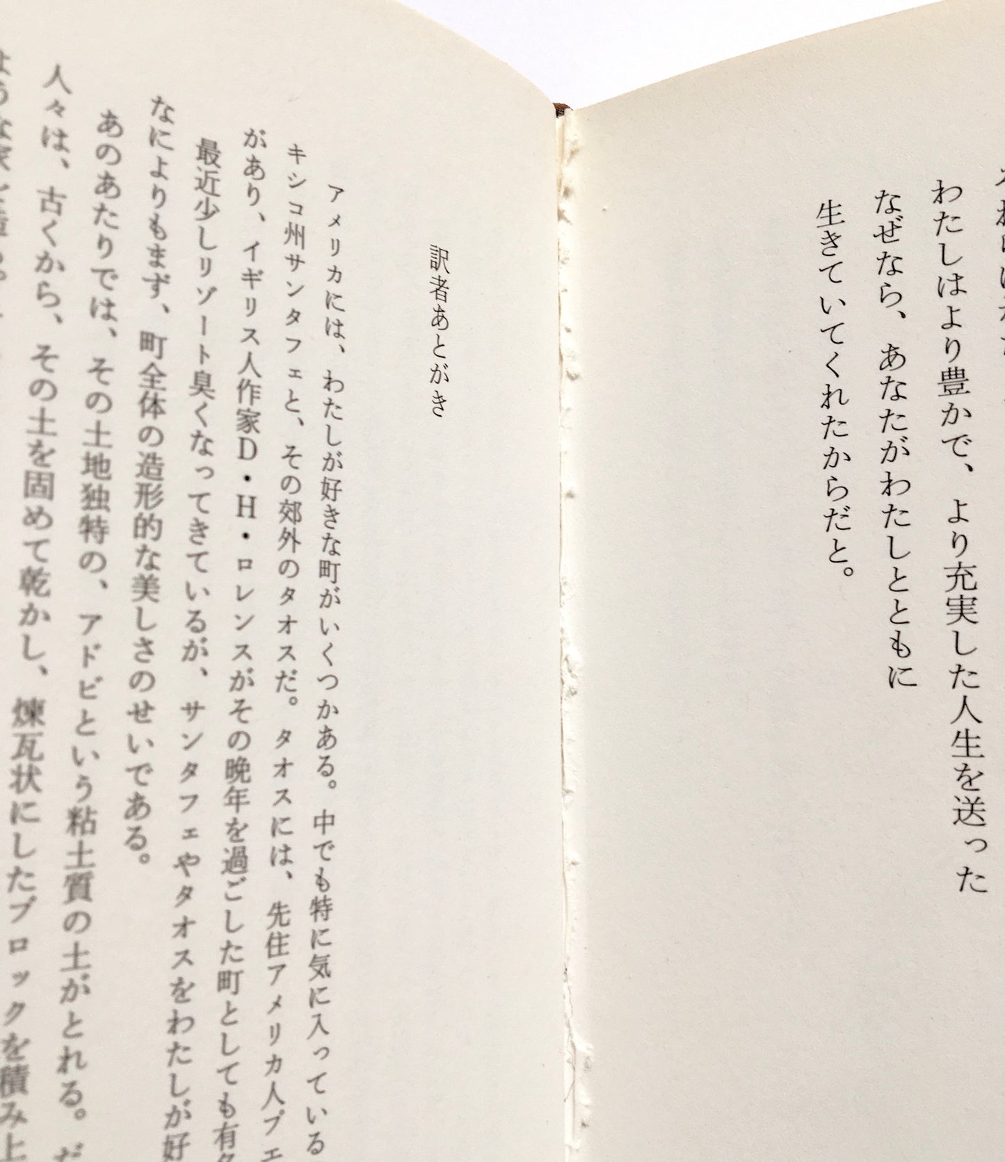 今日は死ぬのにもってこいの日