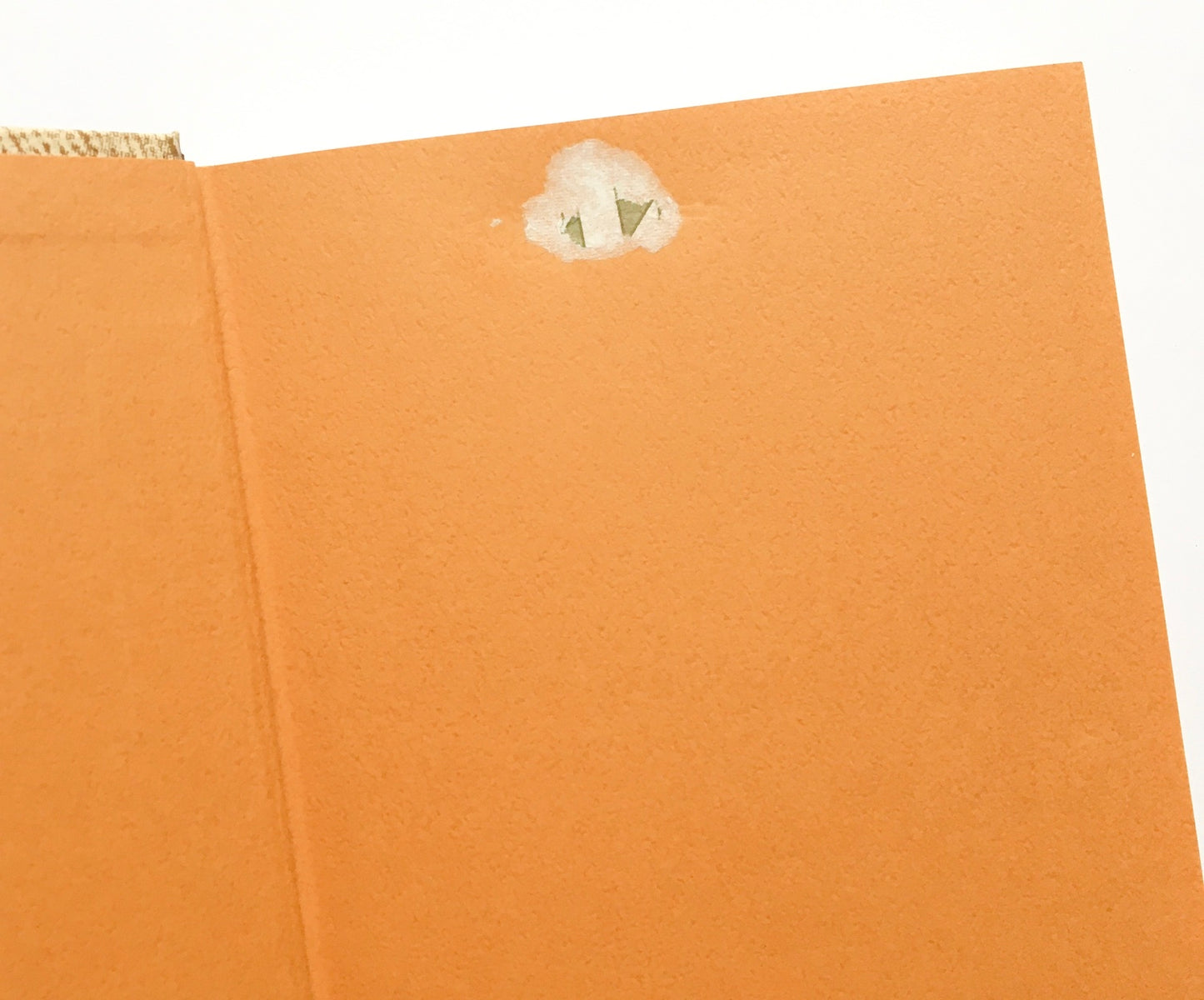 今日は死ぬのにもってこいの日